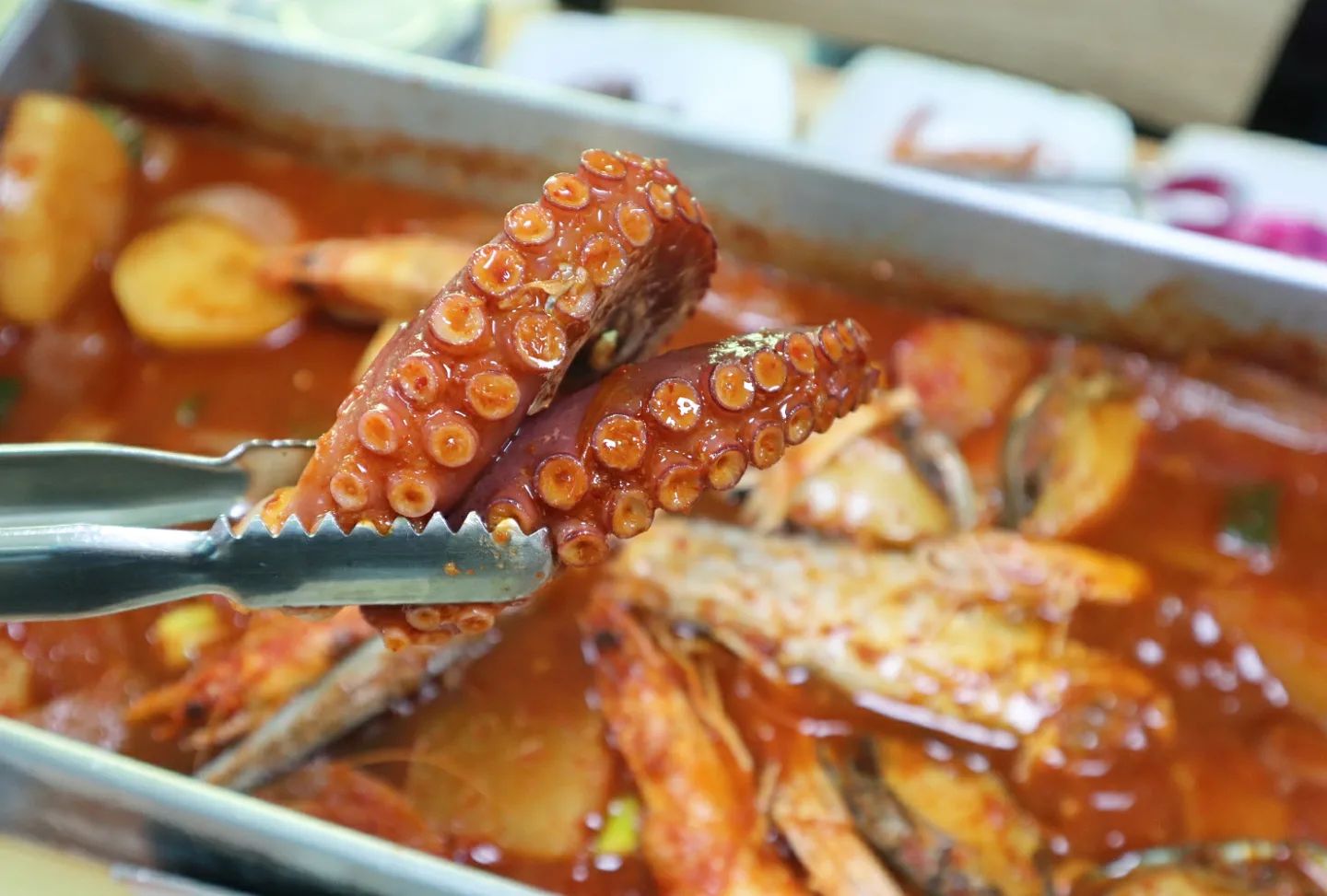 #협찬
칼칼하니 밥한공기는 뚝딱!
맛나게 먹을 수 있는 원조갈치조림맛집인
제주마당, 푸짐한 양념에 다양한해산물이
가득가득~ 양념에 밥을 비벼 먹어도 좋고
밥에다 투툼한 갈치를 올려 먹어도 맛잇는
제주여행가면 꼭 가봐야되는 제주마당이랍니다.
역시 마무리로 라면사리만한게 없는듯..
푸짐하니 쫄깃한 식감이 예술!
.
🔺️제주마당
✔️주소는제주 제주시 이호1동 663-1 
✔️ 문의는064-749-5501
✔️ 운영시간은 09:00 - 21:00 
.
#제주공항근처맛집 #제주통갈치조림 #제주마당 #제주먹방 #제주통갈치조림맛집
#제주핫플레이스 #제주공항근처갈치구이 #비주얼갑
#제주공항근처갈치조림 #제주갈치조림맛집 #먹스타그램
 #제주통갈치구이 #제주통갈치구이맛집 #제주시아침식사
 #제주여행 #제주맛집 #성게미역국 #제주도맛집 
#jeju  #제주도통갈치구이 #여행스타그램jeju  #제주공항근처아침식사 #제주갈치구이맛집
#통갈치조림원조 #제주시맛집 #이호테우해변맛집