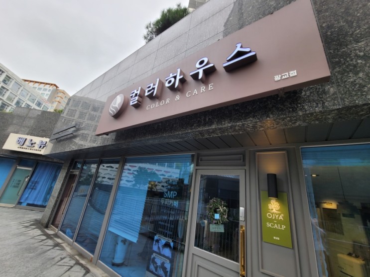 광교염색두피케어전문 컬러하우스 광교점(시술 후 )