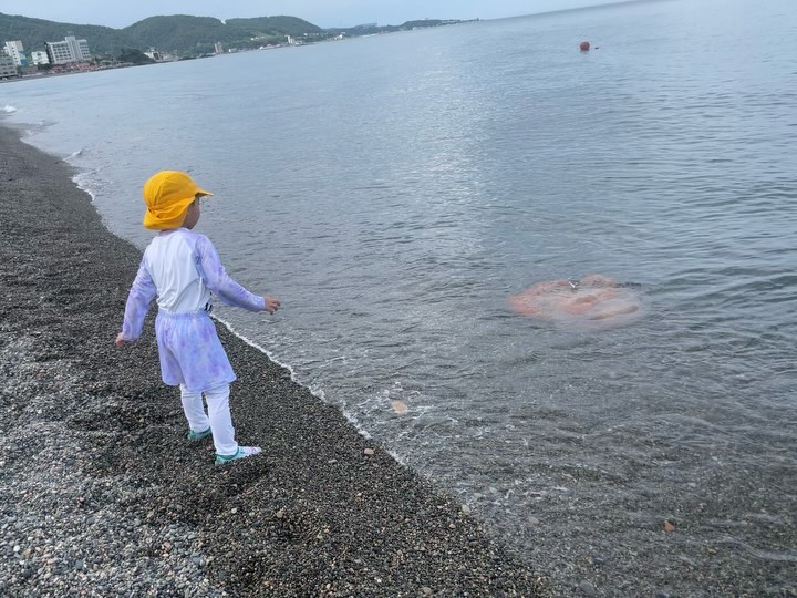 24.07.23
.
울산 정자해변 수영장에서 물놀이하고 
진짜 바다에서 진짜 왕해파리들 보고 진짜 충격받으심ㅋㅋㅋ
.
.
.
.
.
.
#울산정자해변 #울산정자해수욕장 #바다 #해파리 #여름휴가