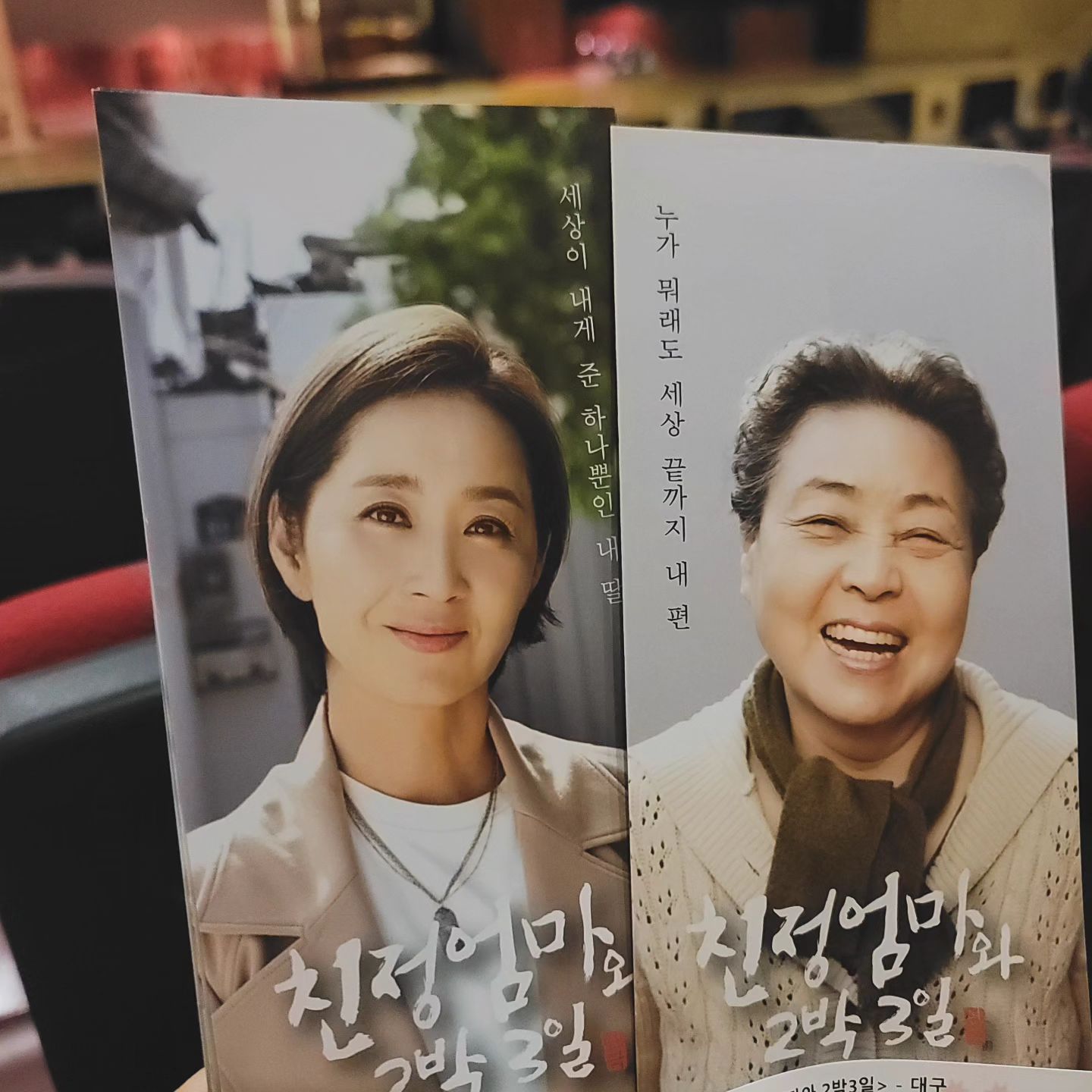 ▪️친정엄마와 2박3일 - 연극

울엄마가 예전부터 너무 보고싶어했던
연극이라 둘이 연극 보고 데이트하고 
할랬는데 엄마가 일이 생겨서 나보다 
더 아쉬워한 #엄마와보고싶은공연

결혼하고 내 자식을 낳고 키워보니 더 
엄마의 마음을 더 잘 알게되는거 같은

곧 엄마가되는 사랑하는 내동생 예비맘 
용복맘이랑 시간맞춰서 같이 보러갔는데 
진짜 너무너무 좋았던 시간🥰

진강부자(엄마)님 윤유선(딸)님의 
연극 100분내내 둘다 눈물이 주루룩😭
옷 다 젖음 진짜 손수건 필수‼️
#친정엄마와2박3일연극

누가 뭐래도 끝까지 내 편
(누가 뭐래도 끝까지 우리 편)
사랑하는 우리엄마❤

"가족"에게는 그 어떤 힘든 시기도
헤쳐나갈 "기적"같은 "힘"이 있습니다!!

보고왔는데 또 보고싶은 연극
dgmom2003 #공연초대 
해주셔서 감사해요❤
.
.
.
#친정엄마아빠와2박3일
#사랑하는내동생이랑데이트
#세모녀함께데이트