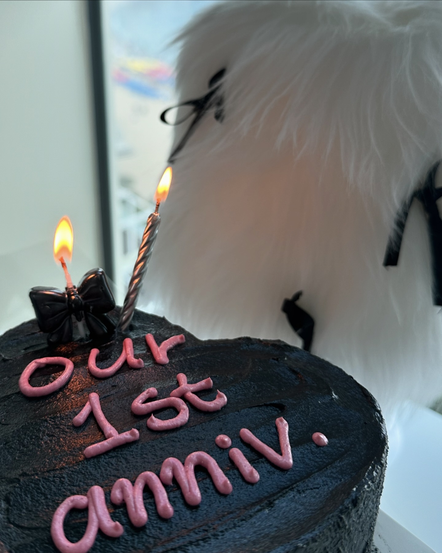 1st anniv.ʚ◡̈ɞ