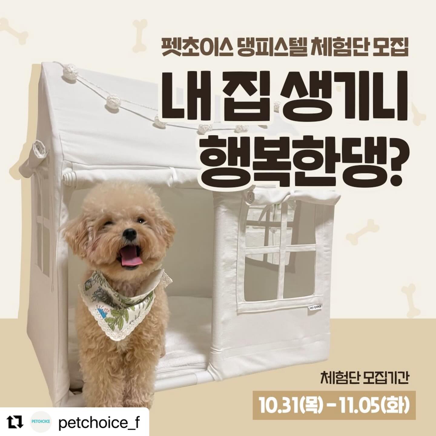 #Repost petchoice_f with use.repost
・・・
.
우리 댕&냥이들에게 집이 꼭 필요한 이유💕 알고 계실까요?!🐶🐱💝

✅ 심리적 안정감
강아지,고양이도 스트레스를 받거나 두려움을 느낄 때 자신을 보호할 안전한 장소가 필요해요. 
이럴 때 강아지, 고양이 집이 심리적으로 안정감을 주는 장소가 될 수 있어요.

✅ 깊고 편안한 잠자리
집에서 자는 경우 더 편하고 깊게 잘 수 있어요. 
다른 가족이나 동물에게 잠을 방해받지 않으며 
자신의 영역에서 잠을 잔다고 느끼기 때문이에요.

펫초이스 댕피스텔, 냥피스텔 체험단을 모집합니다💞
자기만의 공간에서 쉬면서 스트레스 해소에도 좋고
아늑하고 심리적 안정감을 주는 우리 댕&냥이 아가들에게
포근한 댕피스텔 고물가시대에 댕&냥이 집 장만의 기회 누려보세요🐶🐱🏠

🏠체험단 신청방법🏠
모집기간: 2024.10.31 - 2024.11.05
제공내역: 펫초이스 댕피스텔 1개(S, L 중 택1)

[참여 방법]
1. [필수] petchoice_f 팔로우
2. [필수] 본 게시글 리그램
3. [필수] 프로필 링크 클릭 후 폼 작성하기
4. [필수] 참여완료 댓글 남기기
✔댓글에 친구 소환 시 당첨 확률🆙
✔리그램을 하더라도 피드에 사진이 바로 보이지 않으면 무효!

#펫초이스 #댕피스텔 #냥피스텔 #강아지텐트 #고양이텐트 #강아지집 #고양이숨숨집 #숨숨집 #강아지하우스 #반려동물용품 #강아지 #고양이 #펫테리어 #냥테리어