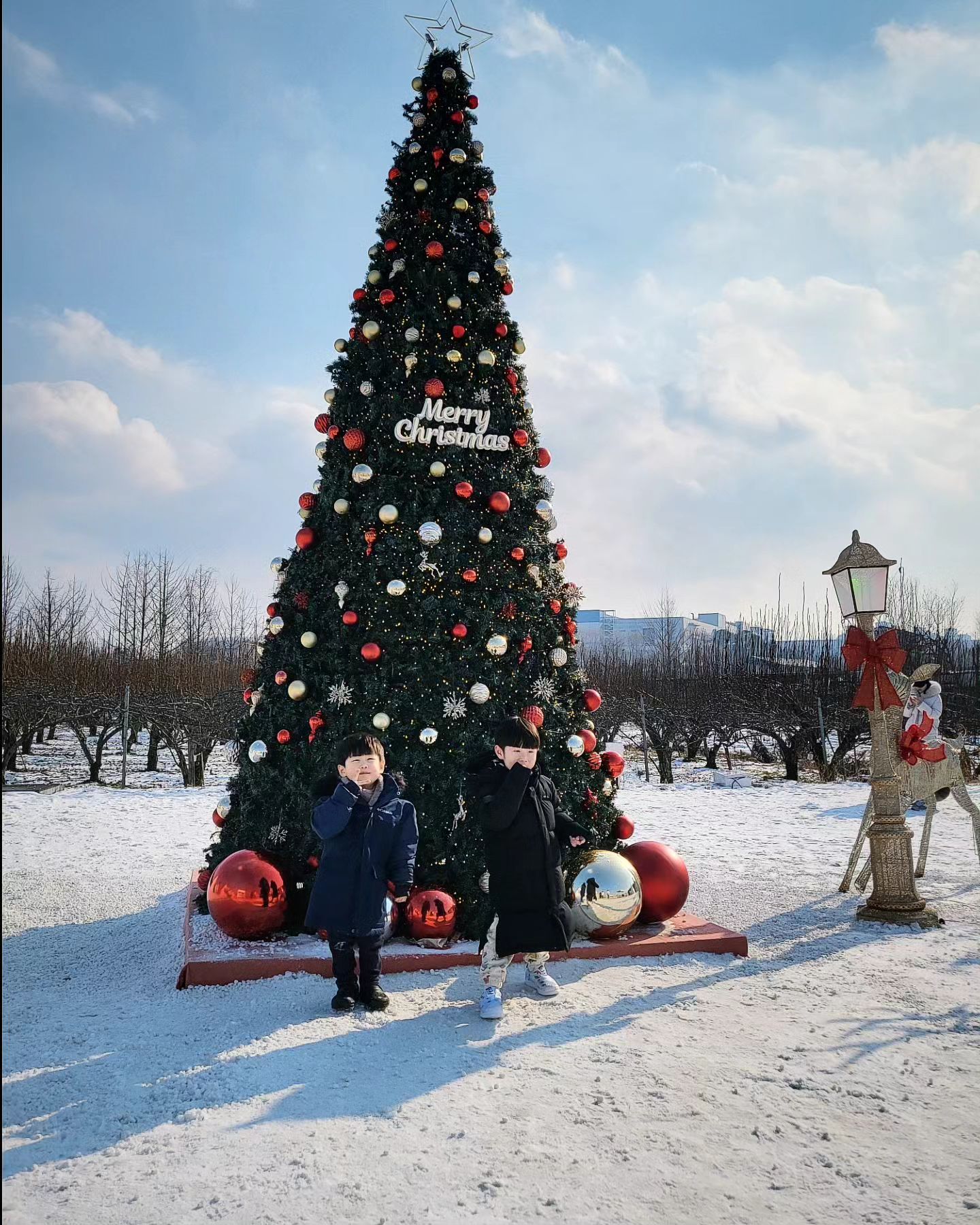 🎄해-삐 크리스마스🌲
너희의 동심을 최대한 지켜줄게(?)
너무나 즐거운 이브🩷