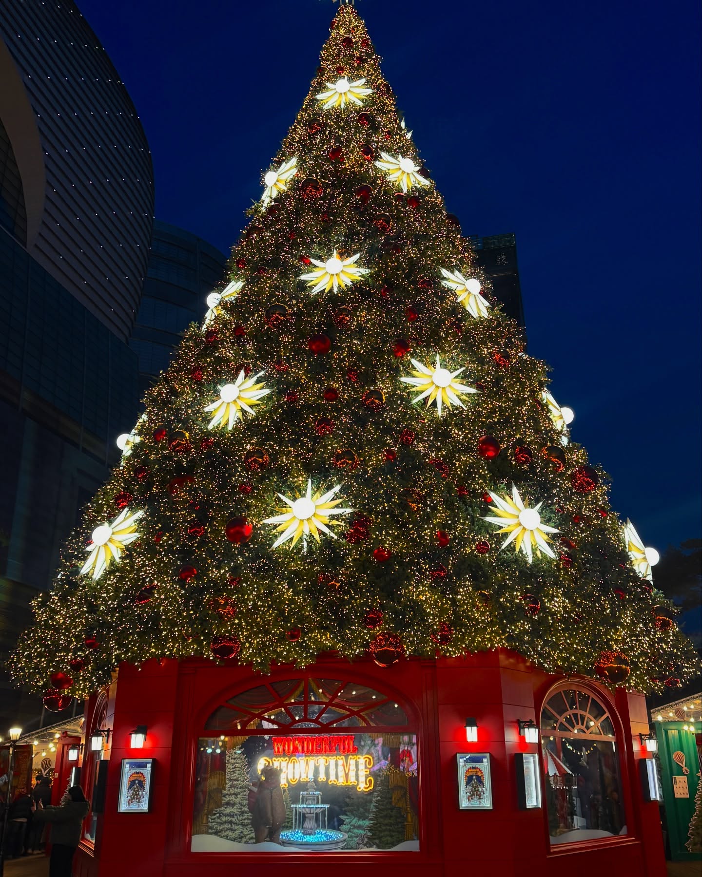 겨울에만 피는 꽃 ,🎄