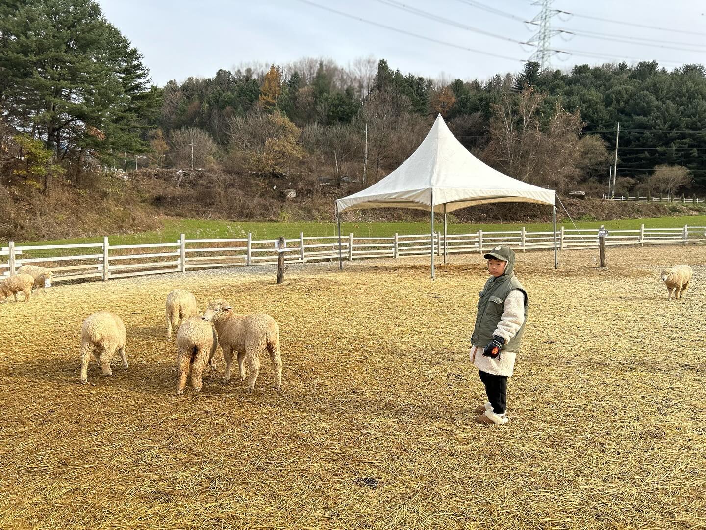 가평양떼목장❤️