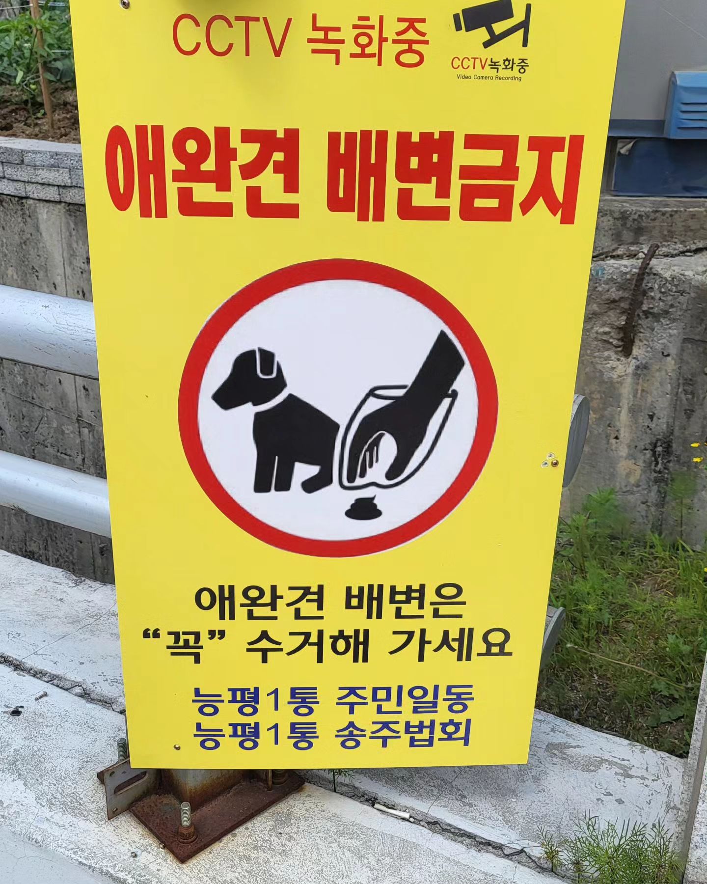 1차빡침

무개념 견주들은 각성하기를😡😡😡
내가봐도 진짜 똥밭이구요.
아이가 똥싼걸 한쪽귀퉁이로 발로 쓱쓱미는 견주도 봤...어요.

2차 읭 이건뭐래

근데 웬 배변금지요?
싸지말라구요?
그럼 기저귀차고 다녀야할라나🤣

3차
그래서 반려견 인가요 애완견인가요
전 반려견에 한표입니다!
하나로 통일하자구요!

#한달만참자
#곧이사간다
#능평동
#내가속았어
#난 반려견이랑 사는 반려인이야