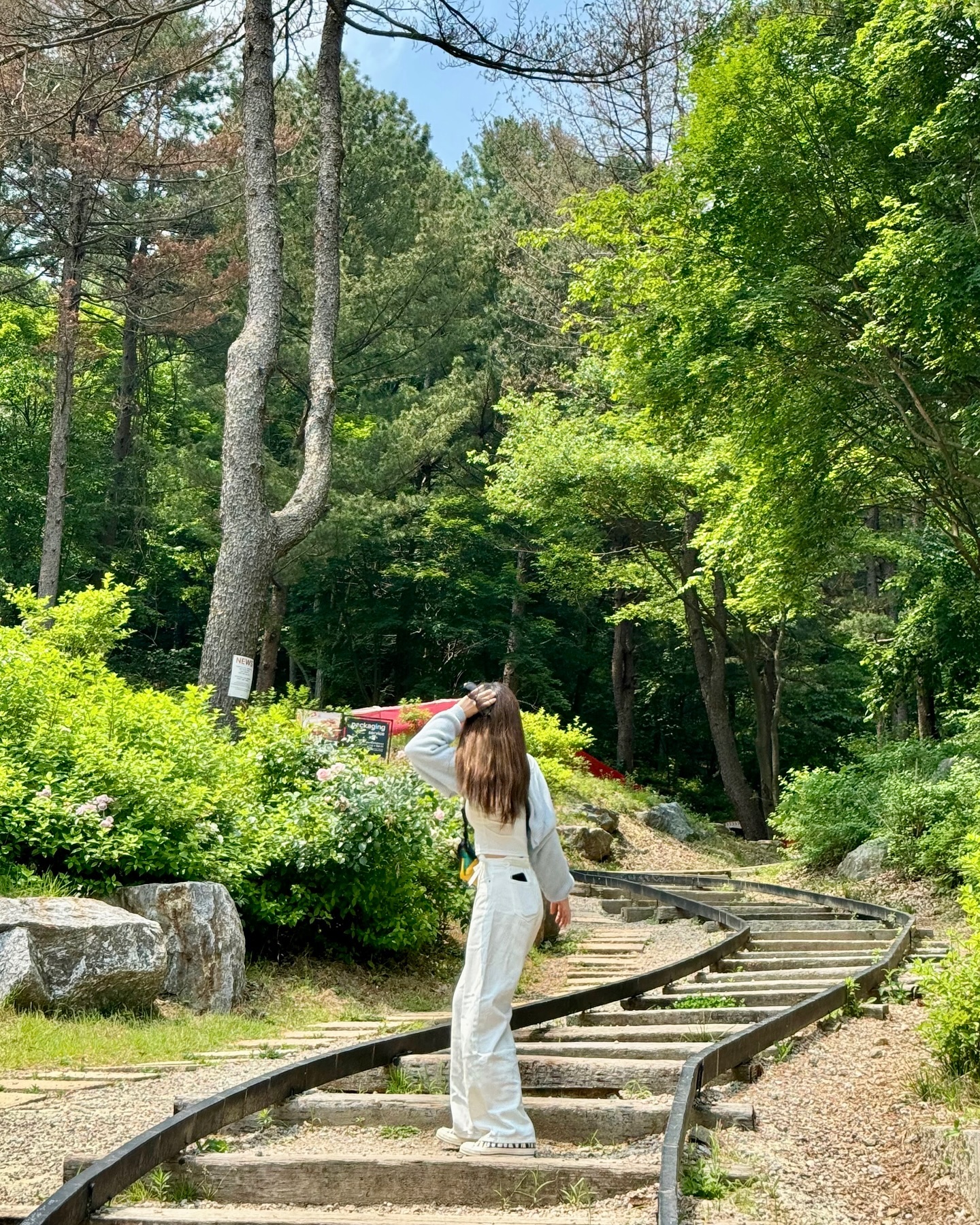 🛤️