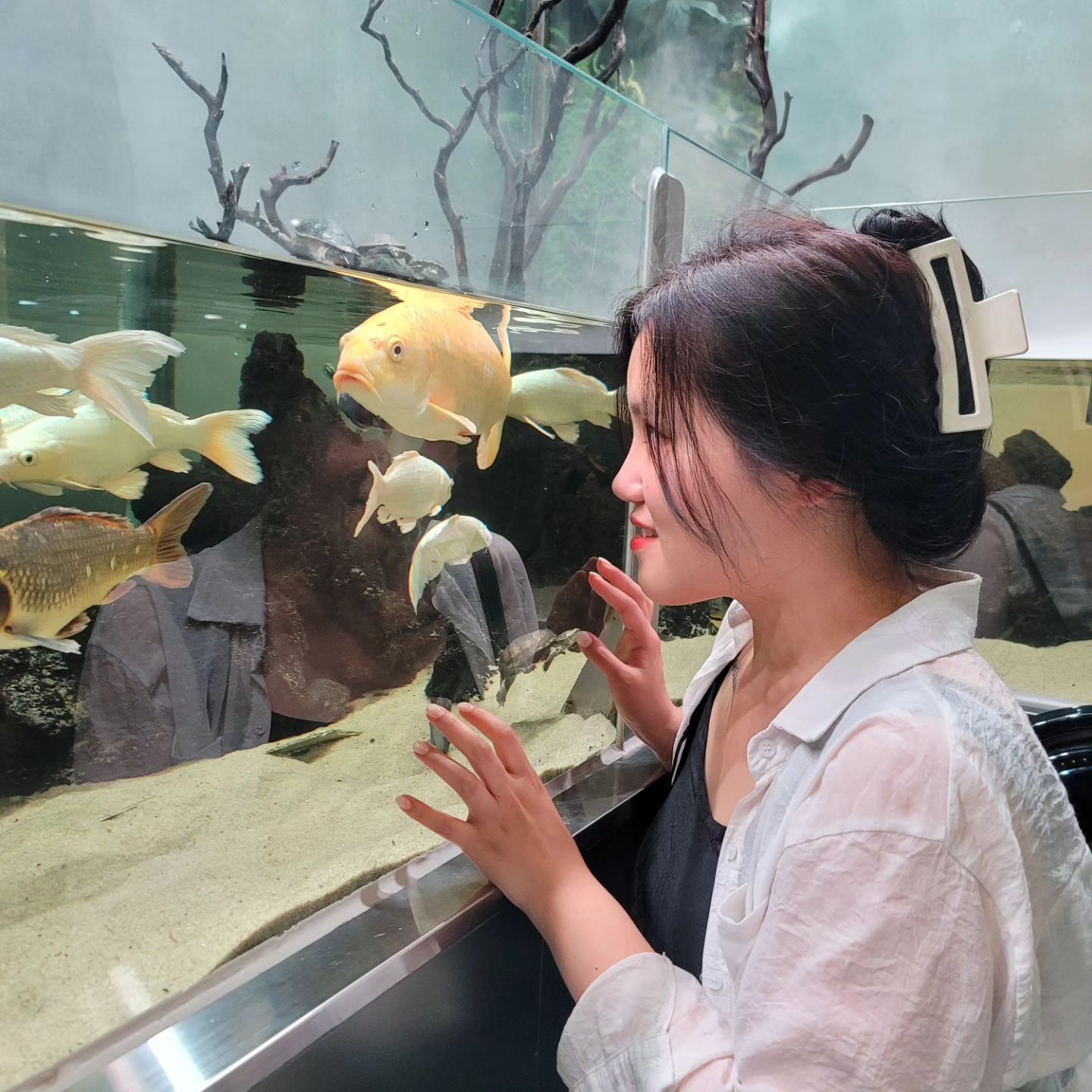 내가 이김 여튼 이김
🐟🐠🐡🐳🐋🐬🦭🦈🐙🦀🦞🦐🦑🐚🪸🪼
.
.
.
#일상 #데일리 #daily #좋아요 #like #follow #me #selfie #셀피 #ootd #f4f #잠실