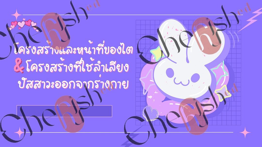 ตัวอย่างสไลด์นำเสนอ✨🩵