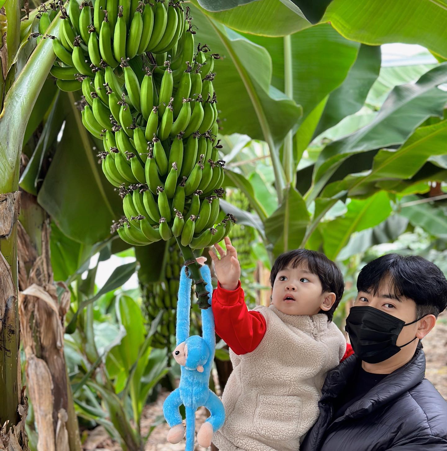 빠나나 🍌따고 옴... 🐒🍌 ㅋㅋㅋㅋ