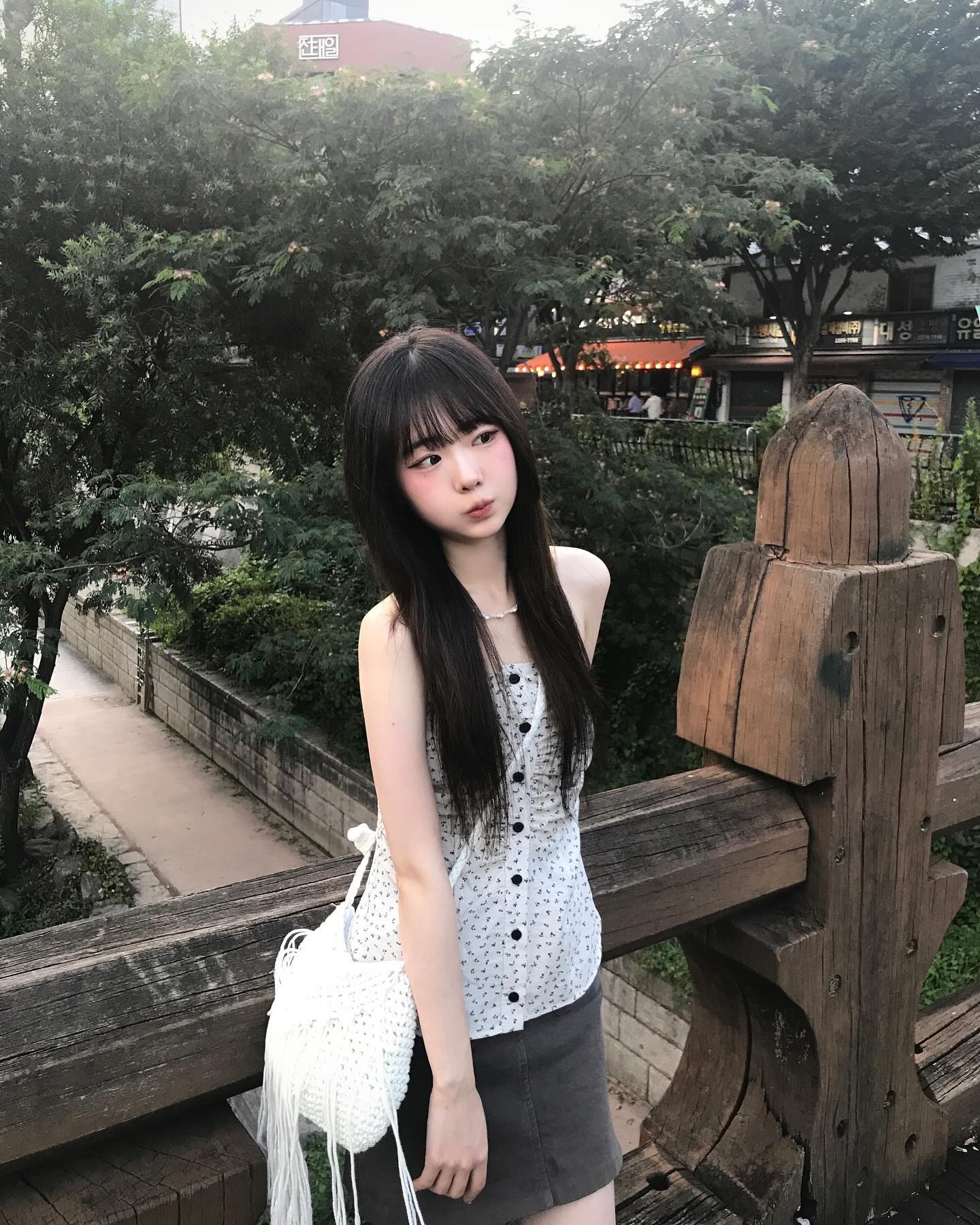 고양이 바라기 ⊹ ₊ ˚ ₍˄·͈༝·͈˄*₎◞ ̑̑