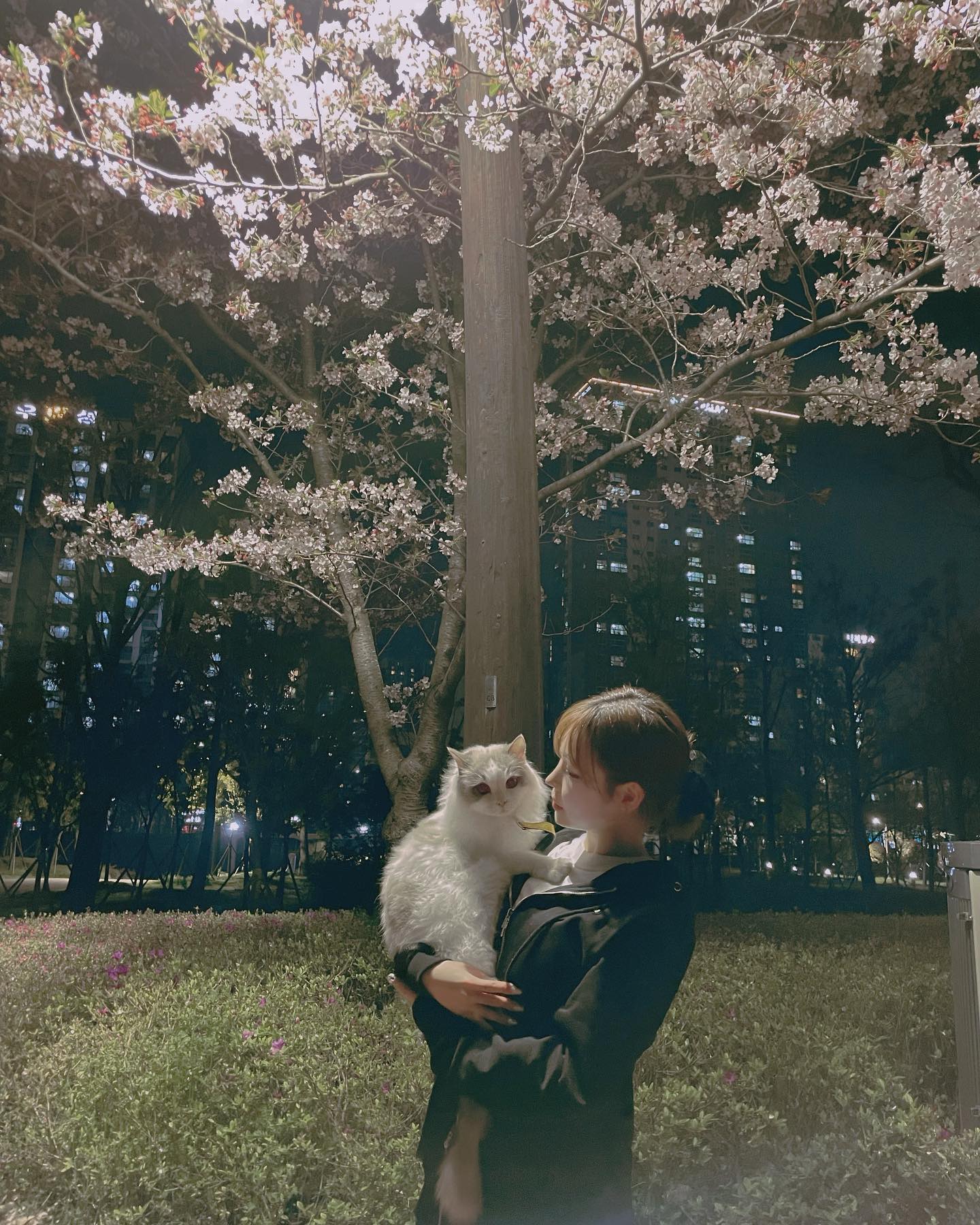 내 영원한 벗,🐱♥️