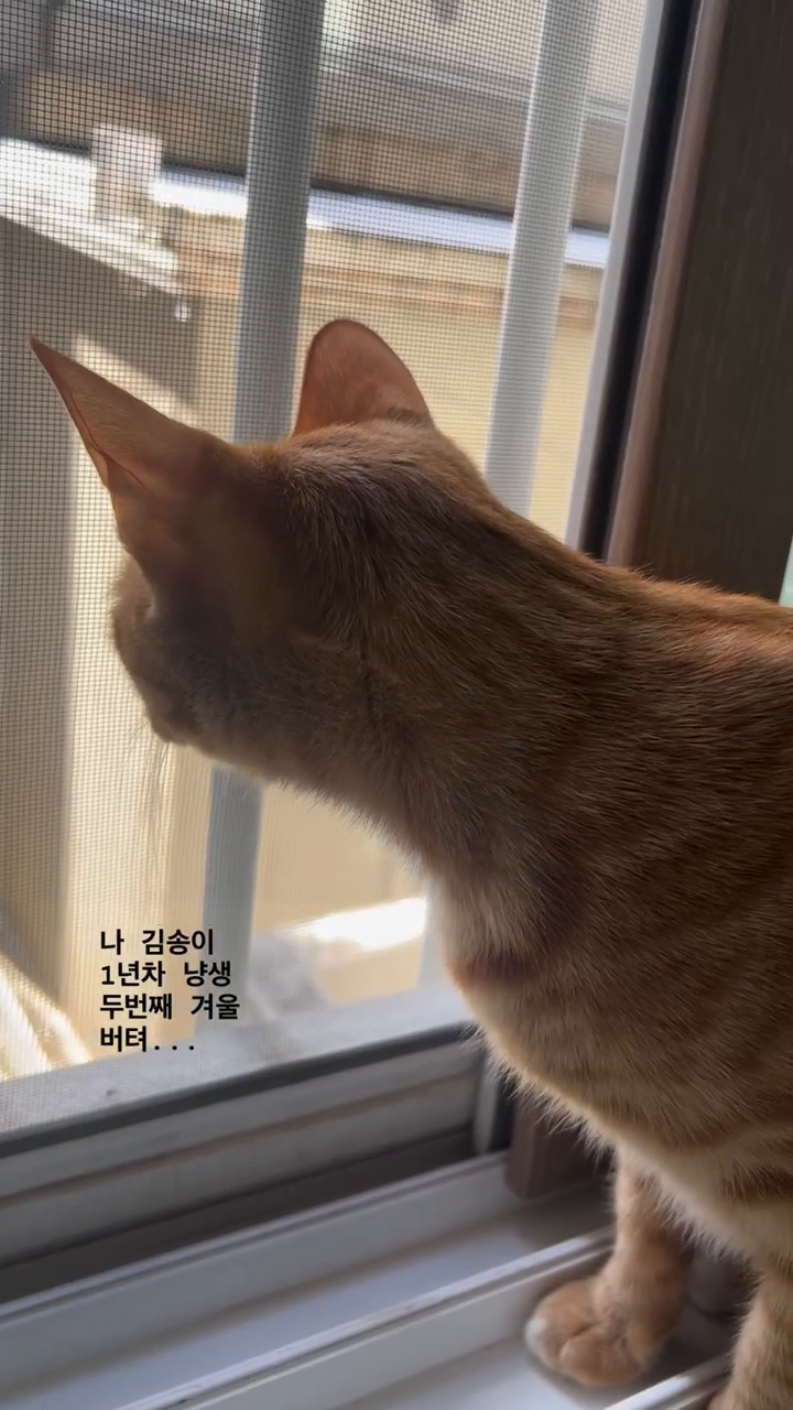 -10도 날씨...버텨..☃️