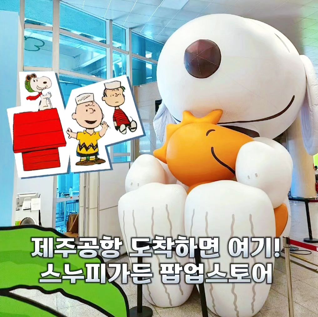 * 지난번 여행 때는 포켓몬 팝업이 나를 붙잡더니😆
이번에는 스누피가든 팝업스토어가 있더라구요

🏷 제주공항 1층 3번 게이트
요기가 바로 렌트카 찾으러 가는 길에
딱 보여서 찾기 쉬워요!

렌트카 차량 시간표까지 받아놓고 가다가
스누피 느무 귀여워서 버스 놓칠뻔요 ㅎㅎ

아참 8월10일까지래요✔️

.
#스누피가든 #스누피가든팝업