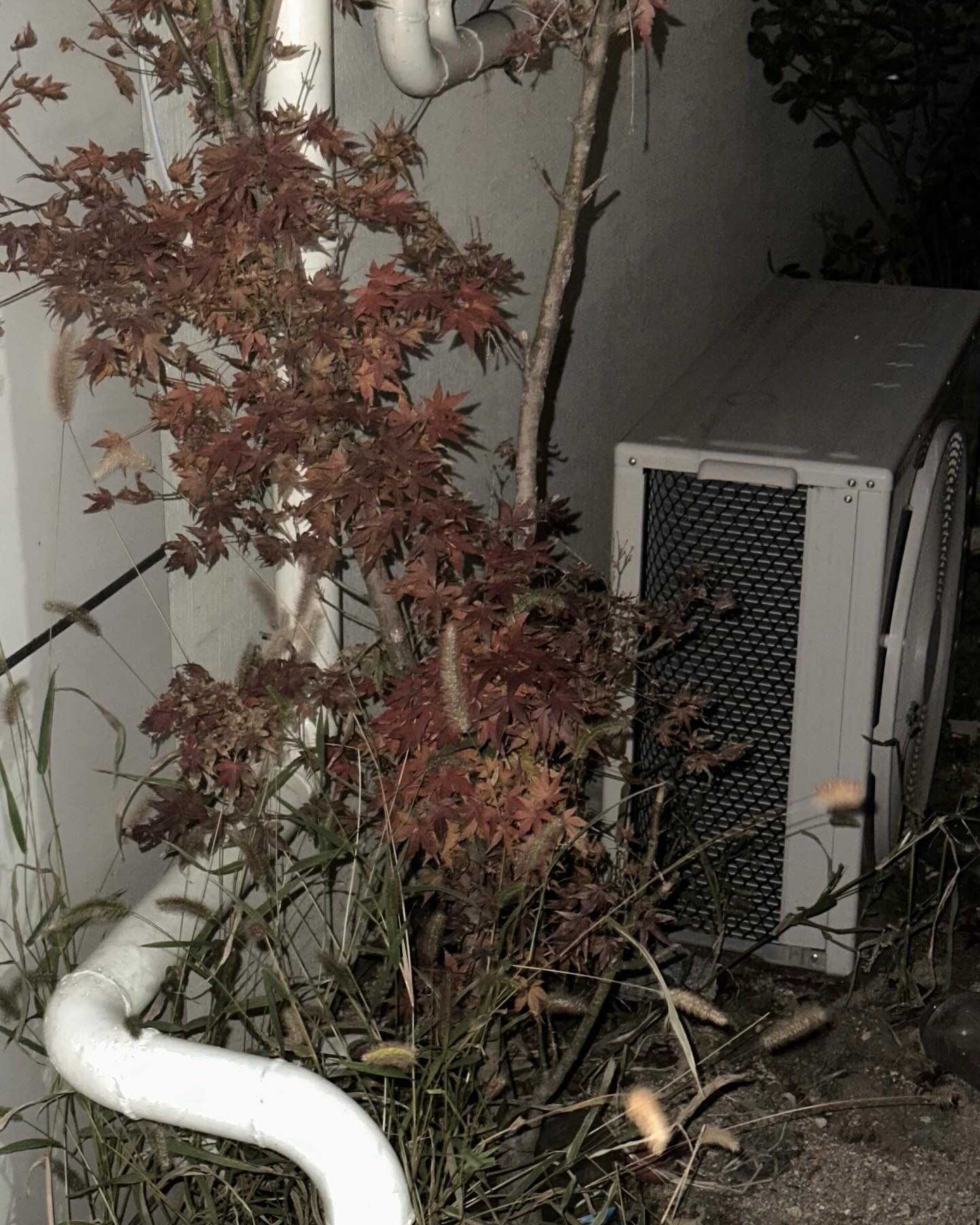 cozy autumm