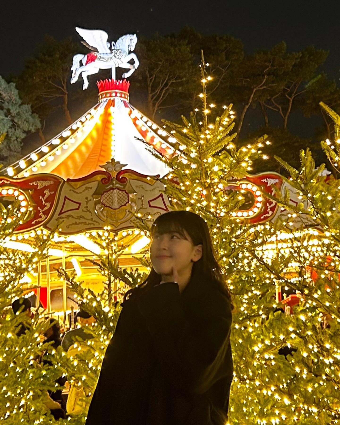🎠