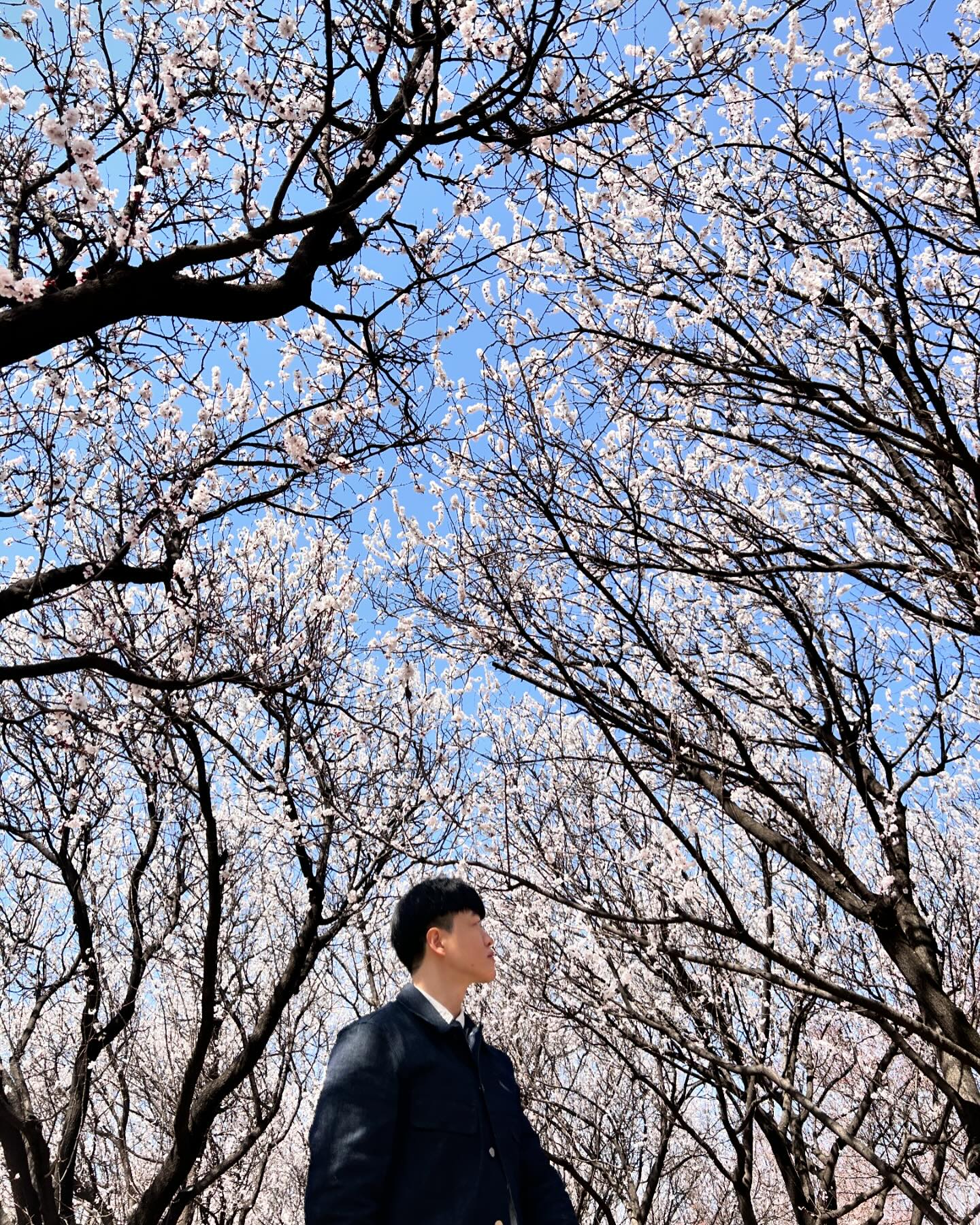 #벚꽃 🌸#개나리🌼 구경 좋은 #서울숲나들이 
서울숲 나들이하고 성수동 구제샵에서 옷도 득템!! ㅅㅅ

나들이 하기 좋은 시기로 좋은 추억들 쌓으세요~

아우터/하의: #플랙
상의: #유니클로
신발: #뉴발란스

#패션