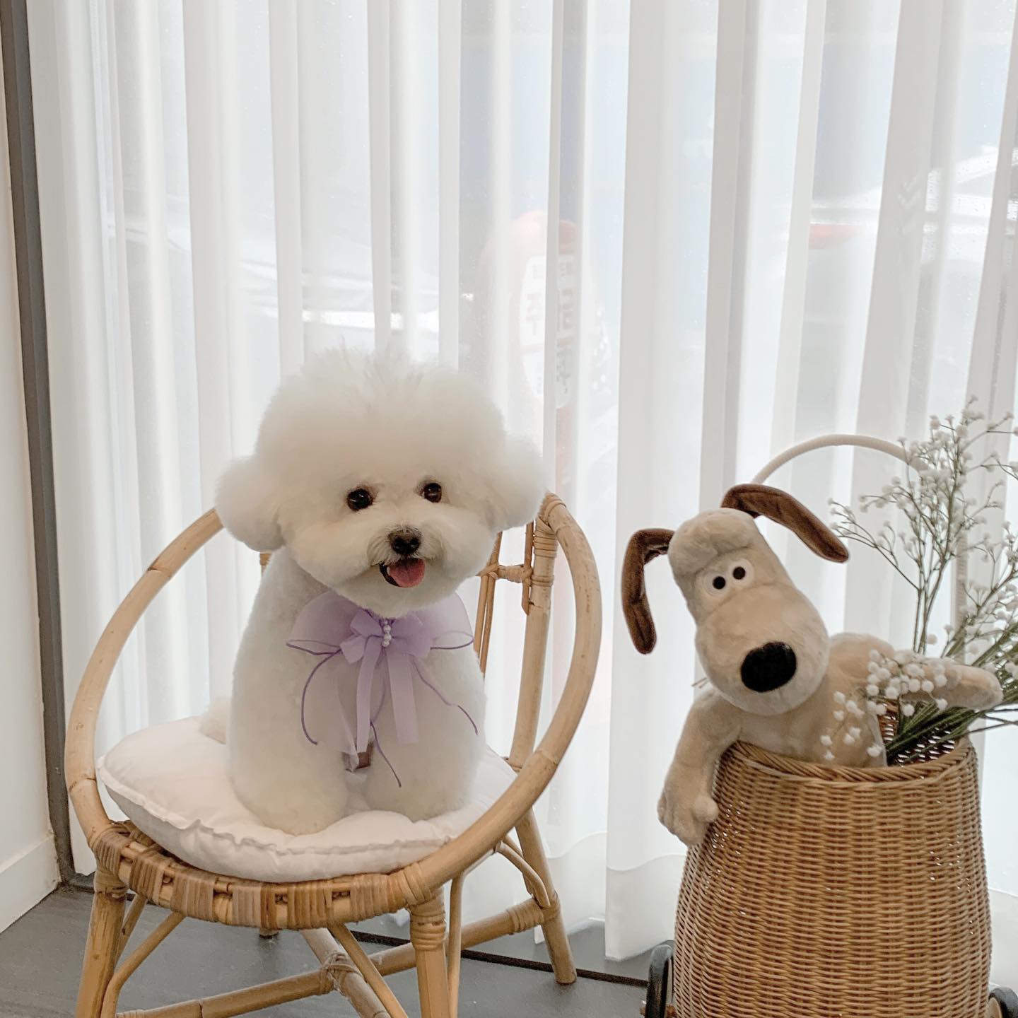 오랜만에 때 빼고 광내고,,✨