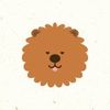 비버형 (@mix_beaver) • Instagram photos and videos