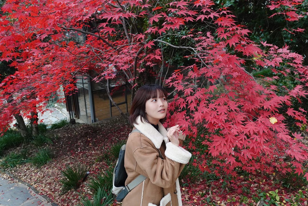 겨울이지만 가을을 느끼고 왔던 🍁🍂
#펭귄마을거점예술여행센터 #양림동 #양림동핫플