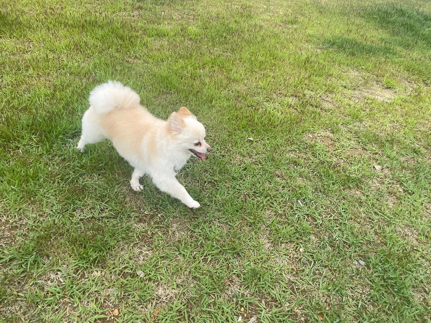 콘텐츠