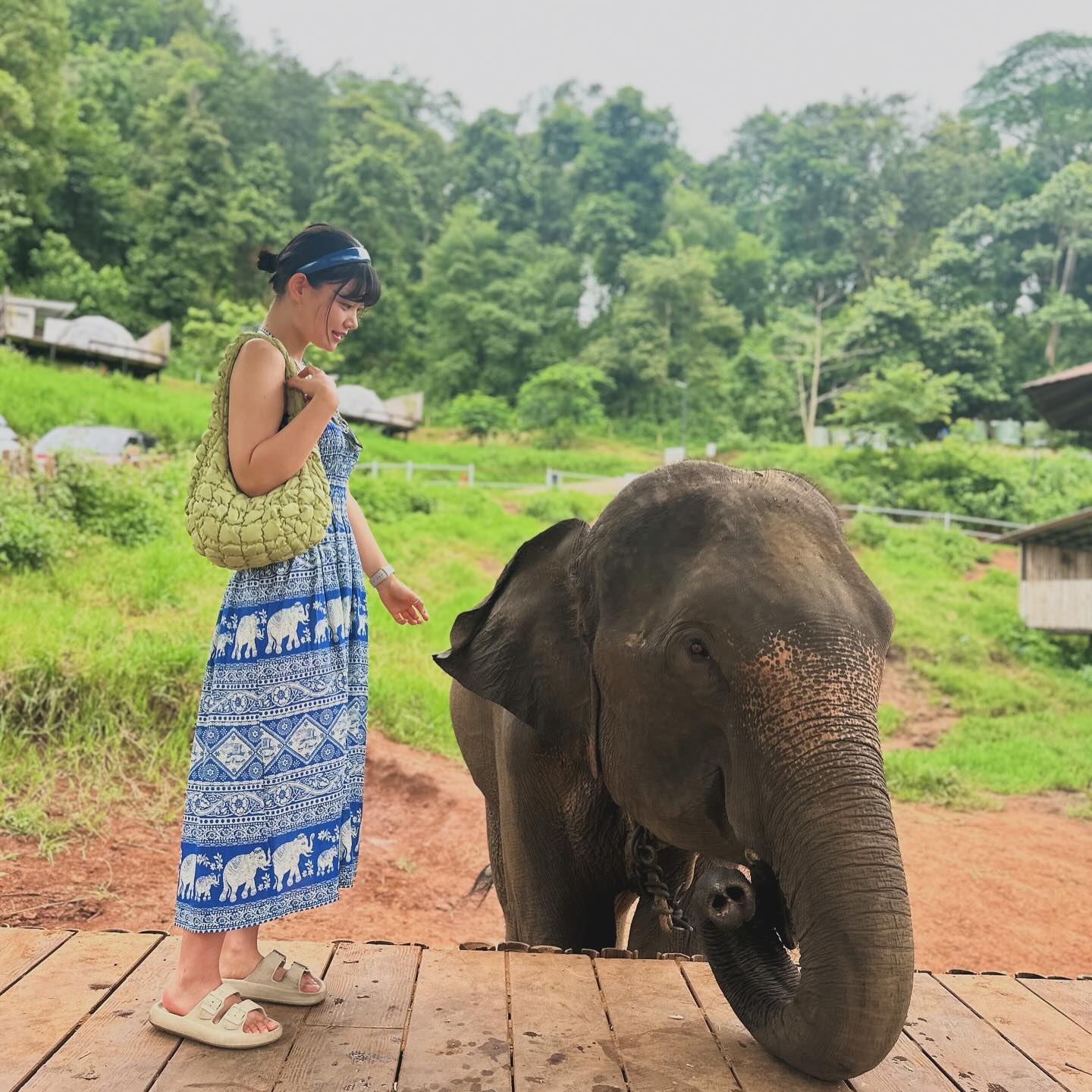 안녕 뿌우야🐘
넌 참 무섭게 생겼구나