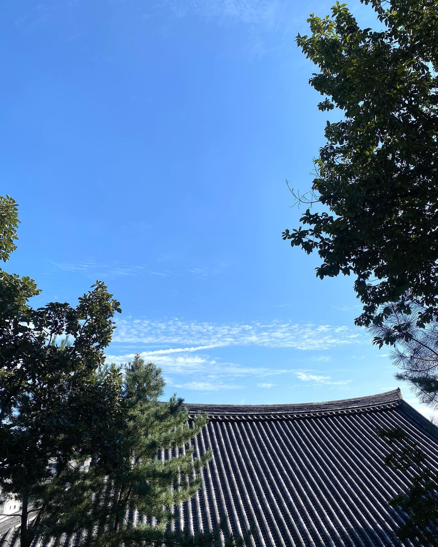 Mindfullness 개운사 Peacefull🙂✨
