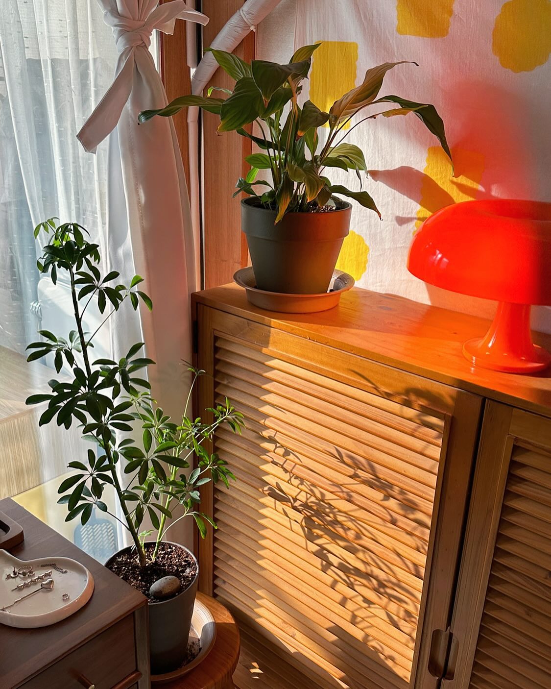 🍀