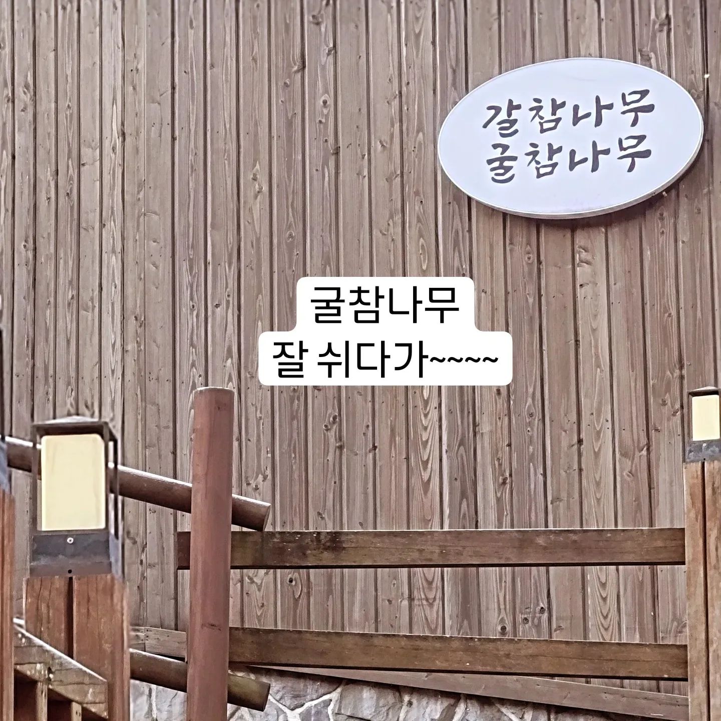 #굴참나무 잘 묵다가오