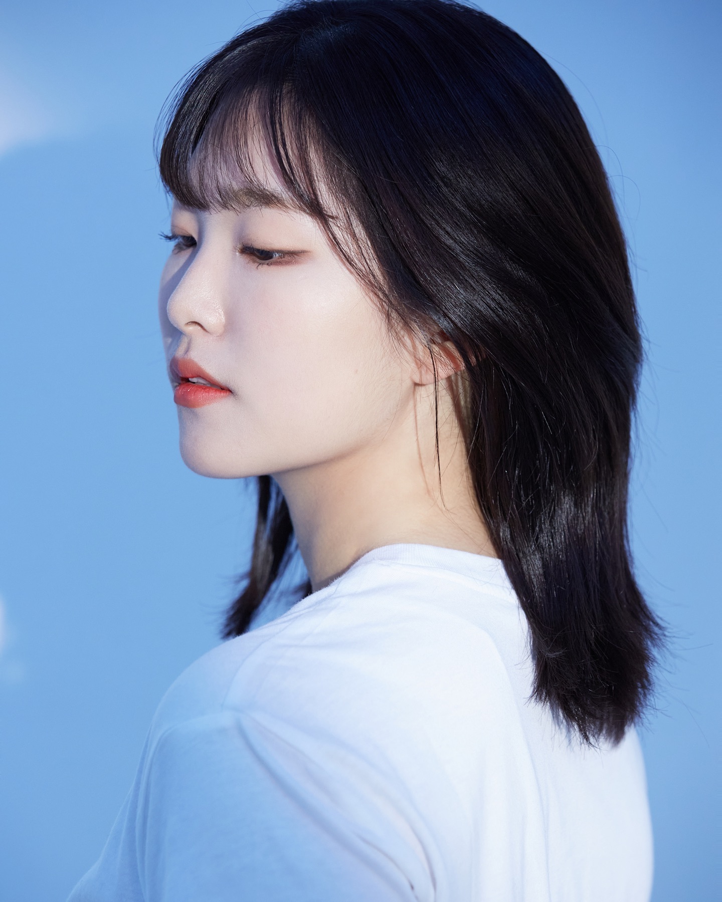 콘텐츠