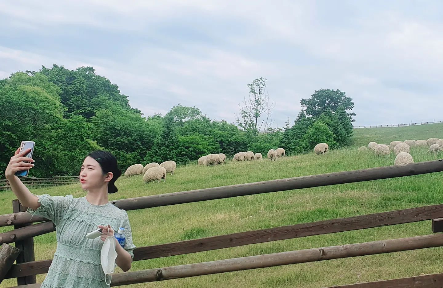 깐도리의 고향 

#삼양목장 #대관령 #강원도 #강원도여행 #평창 #국내여행 #양떼목장 #목장 #나들이