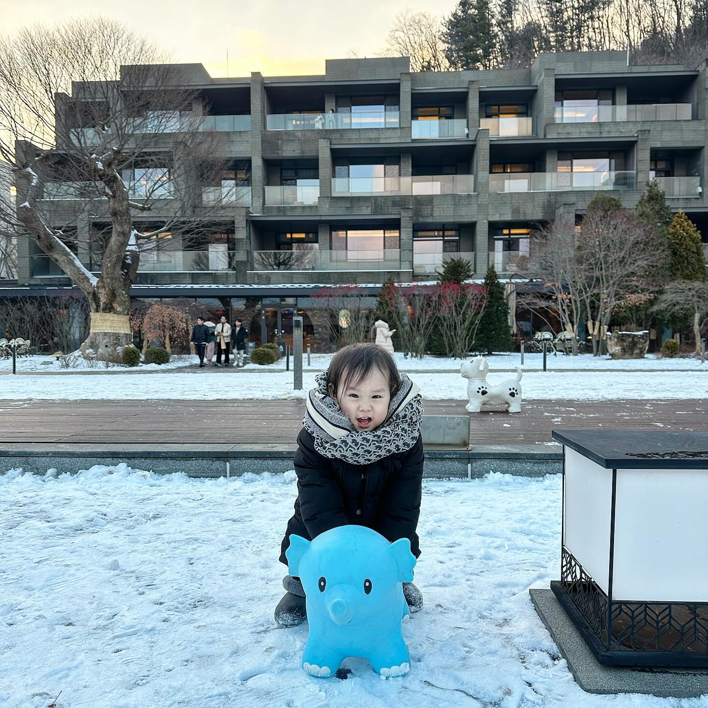 울집 막냉이, 숙모 스카프에 침뭍히는 중 #죄성합니다