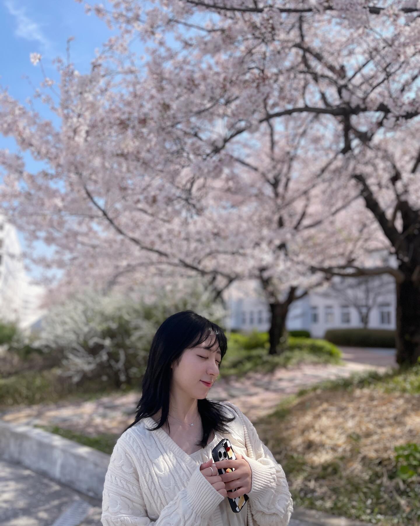 🌸꽃놀이 아직 안끝났다!🌸
