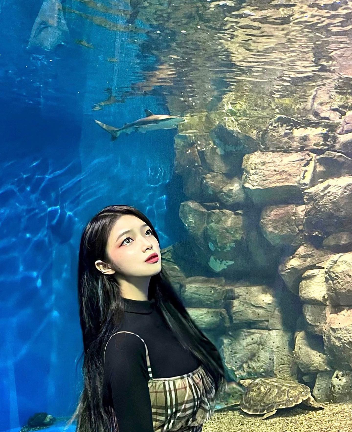 아쿠아리움 처음 가봤어여 💙