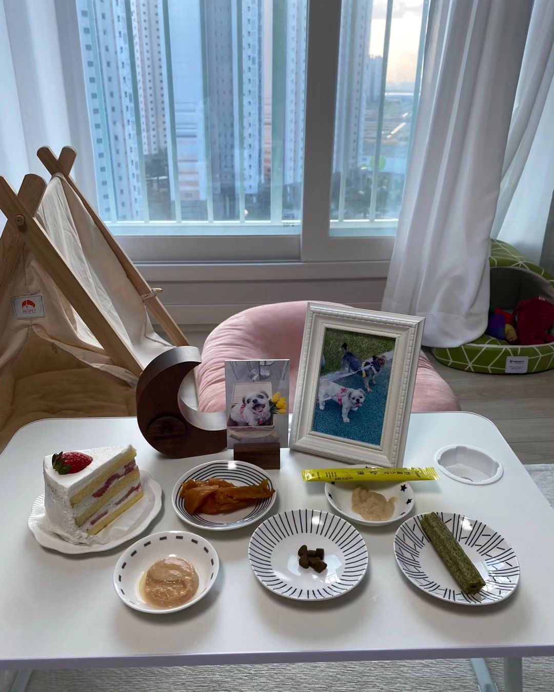 #강아지49재 #안녕내강아지 #무지개다리건너간천사 #강아지별에선아프지마❤️

오늘 1월 1일이 우리 금동이가 강아지별로 간지 49일째 되는 날이예요🥹

새해가 큰 의미없는 날이였는데 이제 금동이 덕분이 특별한 날일것같아

고마워 내 강아지
미안해 내 강아지

너무 모자란 엄마 만나서 고생만 하다가 보낸것 같아서 너무 미안한 맘이 크다

강아지별에선 기침도 안할거고 몸도 안긁을거구 눈도 잘보일거야 그치?
거기서는 맛없는 다이어트 사료 안먹어도 되고
간식도 가려서 안먹어도 될거야 그치?
햇볕나오면 목줄없이 맘껏 뛰어도 될거고
비오면 우리 금동이 좋아하는 창문앞에서 비멍때리는것도 맘껏 할거야 그치?
케빈이한테 간식 뺏길까봐 허겁지겁 안먹어도되고 
쉬야 아무대나 했다고 눈치볼 필요도 없고

우리 금동이 원하는대로 마음껏 뛰고 먹고 자고...
그렇게 행복하게 지내고 있어야해

엄마는 금동이랑 한 약속 지키기 위해 노력할게
케빈이 잘 돌보고 돈열심히 벌어서
금동이처럼 아픈 친구들 도우면서 살게

그렇게 나중에 우리 금동이 안고 해줄 이야기 많이많이 만들어서 갈게

살아가는게 쉽지않아서 많이 힘들때도
우리 금동이 덕에 잘 견뎠어❤
그래서 이만큼 온거야 너무너무 고마워

잘가 내강아지 엄마는 오늘까지만 울게 사랑해🫶🏻