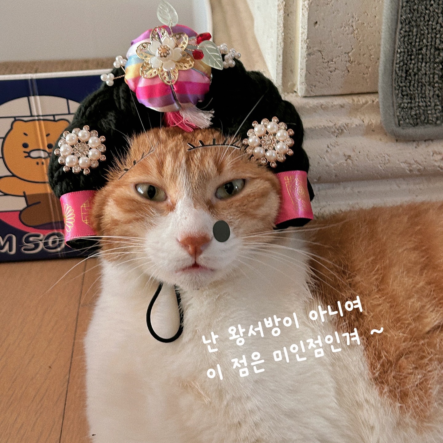 속눈썹펌에 미인점까지 가진 미인 고양이 🤭