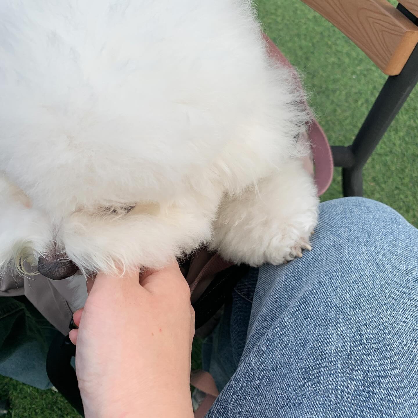 누나 다리 밀면서 야무지게 간식 먹기..