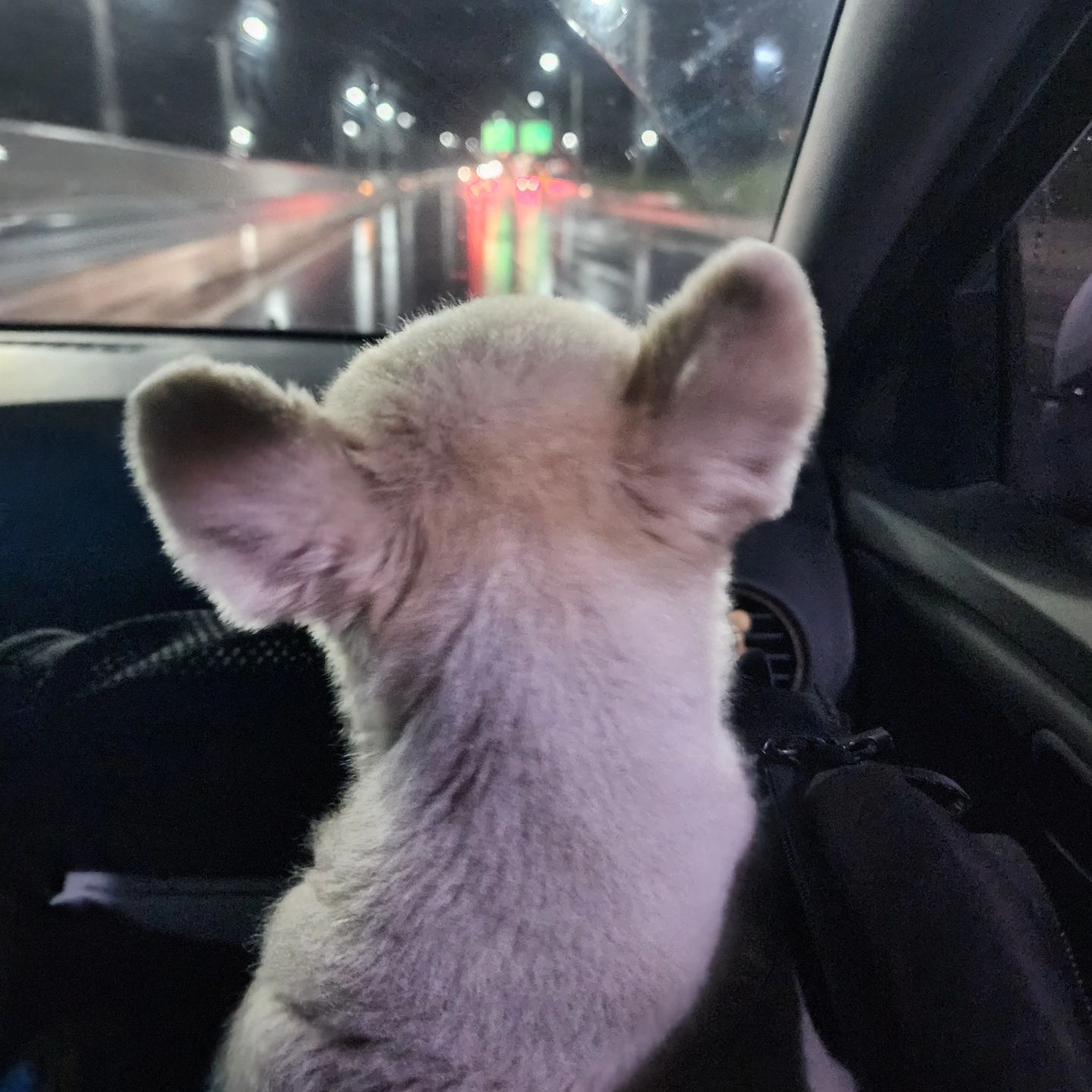 #할많하않