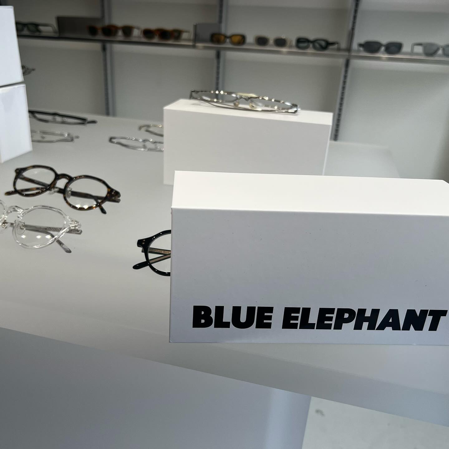 #블루엘리펀트 #blueelephant #블루엘리펀트선글라스 #성수핫플 #성수가볼만한곳 #성수쇼핑 #서울숲핫플 #서울숲공원 

blueelephant.co 
blueelephant.seoulforest 

산도스 사장님이 추천해주셔서 가본 블루엘리펀트 
듣던대로 다양한 국적의 외국애들 천지였음
평소 착용하지 않았던 다양한 종류의 안경과 선글라스가 있어서 착용해보고 구매할 수 있었음. 
원래 가격이 좀 있는데 내가 방문한날은 할인기간이라 더 저렴하게 구매가능했음ㅎㅎ (개이득..💙) 넘 이뻐서 빨리 착용해보고 싶어유 🫶