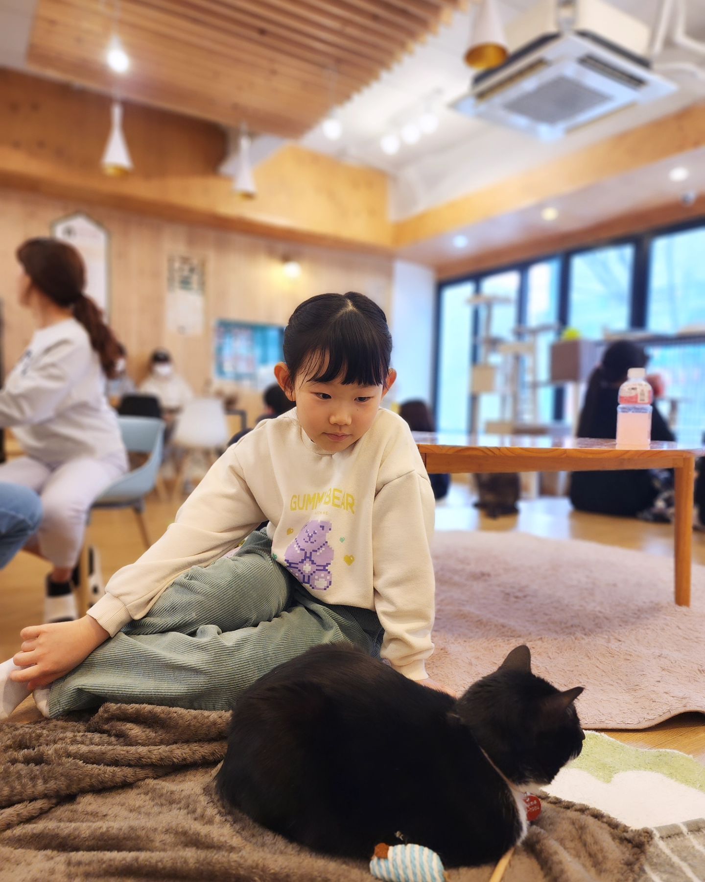#나만없어고양이 🐱

고양이를 키우고 싶어하는 우남매
고양이카페 가보자 하니 몇일동안 주말만 기다린...

아이뿐 아니라 어른들도 힐링되고 마음이 따스해지는 곳
방문이 기부가 되는 유기묘 카페 #집사의하루

연중무휴
입장료 1만원 (음료 1잔 포함)
2시간 무료주차

.
.
.
catcafejipssauiharu
#집사의하루일산점 #고양이카페 #캣카페 #동물카페 #일산고양이카페 #일산유기묘카페 #아이와가기좋은곳
#myjiwoo #지우스타그램 #우남매 #우남매이야기