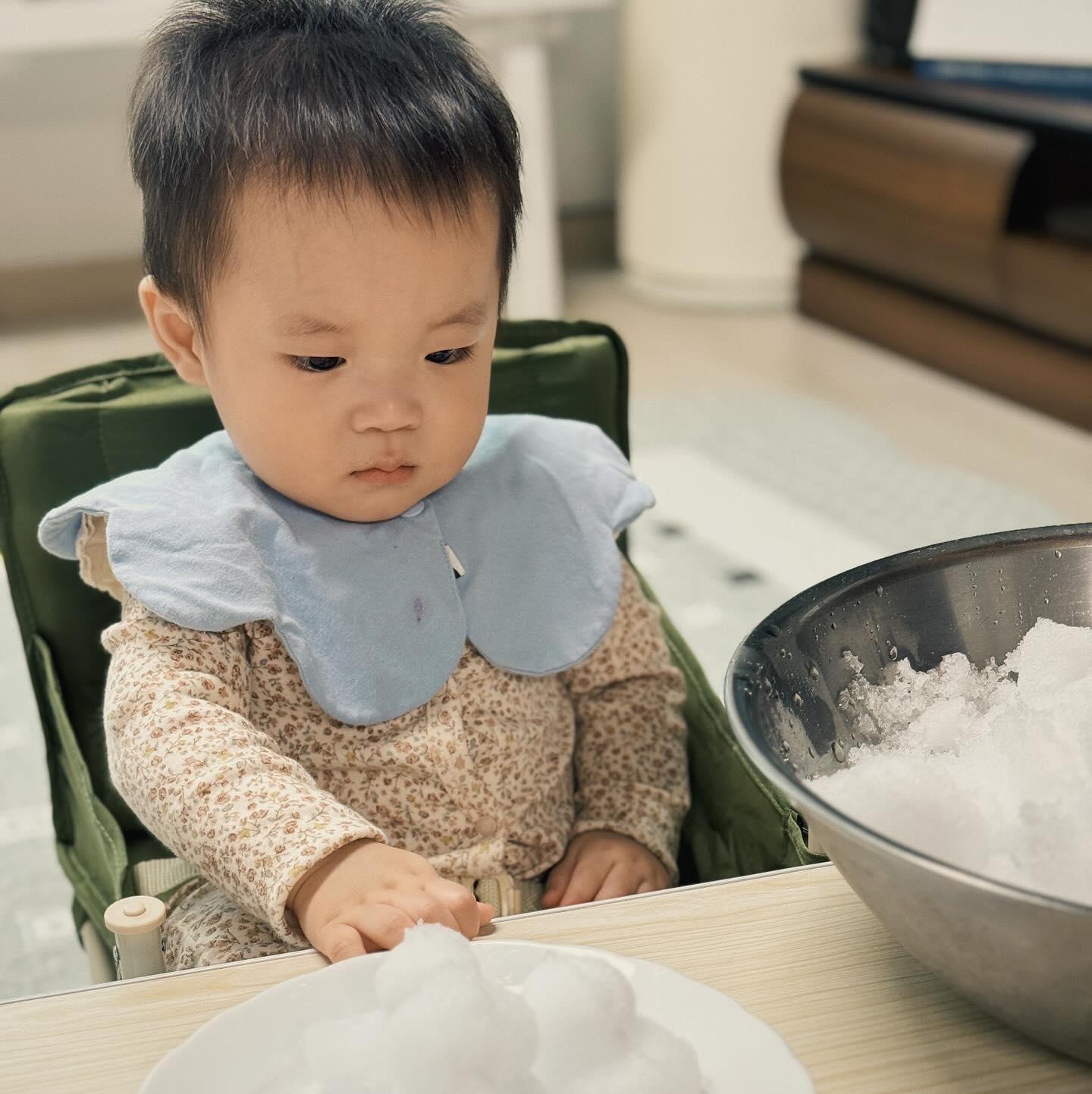 감기 걸릴까봐 마당에서 눈 퍼옴☃️
엄마 정성을 생각해서 일단 만져보기는 하겠는데… 
되게 싫어함😂ㅋㅋㅋㅋㅋ