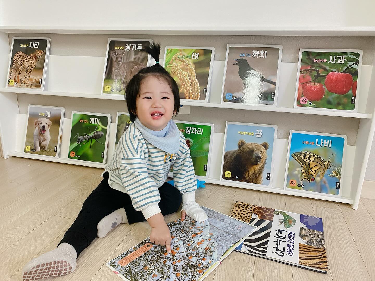 *
블루래빗 생생자연관찰
3개월 책육아 찐후기✨

둘째 소떡이 블루래빗 자연관찰로 함께하며
애착책도 생기고, 표현력도 늘었어요.
본책 60권+워크북60권과 별책3권+
색종이접기세트, 시그니처 토끼펜까지
엄마가 읽어주기 힘든시간엔 스스로 찾아
토끼펜으로 콕콕 찍어보며 동요도 듣고 책도읽고
인지와 표현력도 쑥 자랐다고 생각해요 :)

특히 좋아했던 과일책 귤, 딸기 읽어보면서
나도 이거사줘~라고 먹고싶은 과일 표현도하고
수수께끼 플랩북을 가져와서 
그림자만 보고 동물 맞추기도하고 엄마가 해~라며
자기에게 질문하라고하며 정답을 맞추는 모습도 
볼 수 있을만큼 3개월동안 말도 부쩍 늘었답니다 :)

실사사진으로 자세하게 관찰하고 식물의 단면, 한살이도
배울 수 있어서 돌아기부터 두돌, 한글배우는 유아까지도
활용도가 높은 자연관찰 전집인것같아요.
3살 소떡이 앞으로도 꾸준히 자연관찰 책육아하며
동물박사 되어볼께요 ❤️

🏷️ thanks to bluerabbit_official_korea

#육아 #일상 #육아일상 #책육아 #아기전집 #유아전집 #블루래빗 #블루래빗자연관찰 #자연관찰 #생생자연관찰
#협찬이지만솔직후기❤️