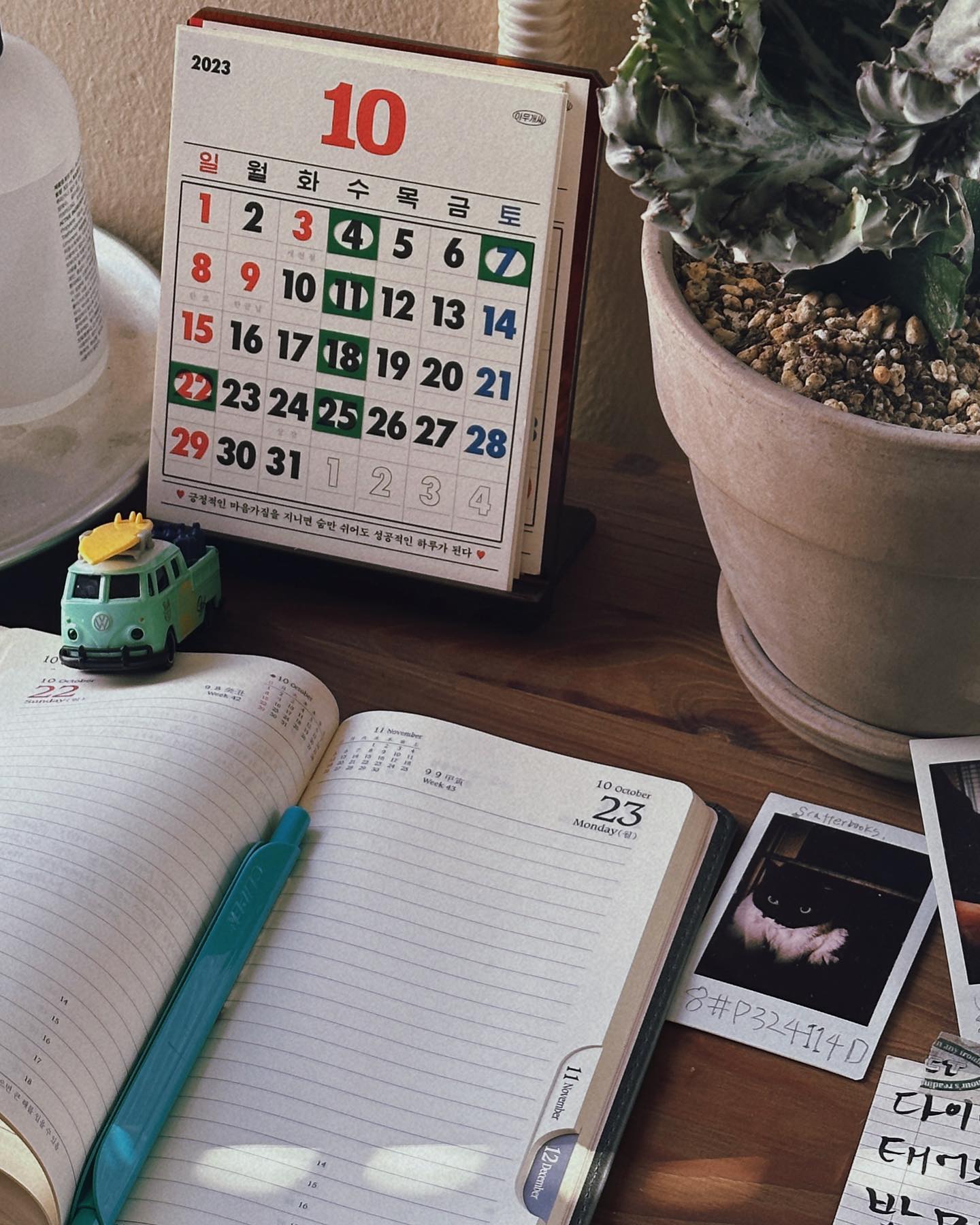 .
10월이 8일 남은 시점에서.
-
쌓인 피드를 보면서 내 시선이 조금씩 변하는 것을 느낀다.
내가 좋아하는 것도 변하고 발견하기도 하고, 배우기도 하고.