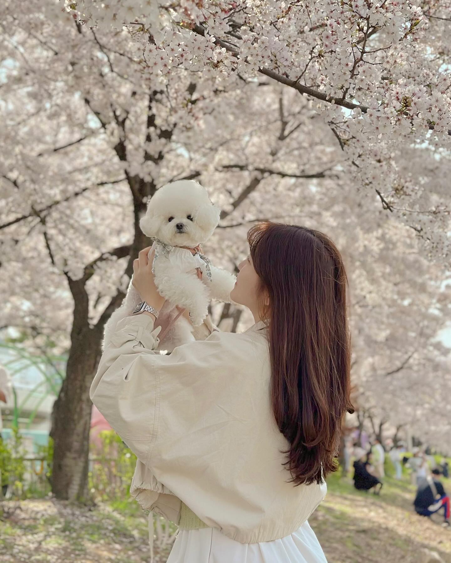 엄마랑💓
우리아빠 사진 옴총 잘찍됴?☺