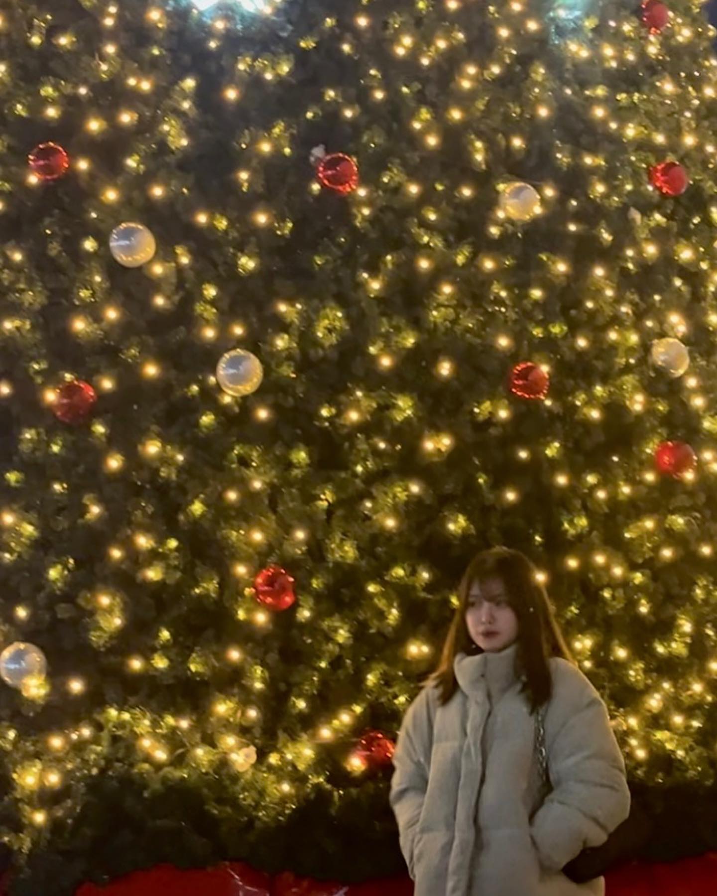🎄🤍