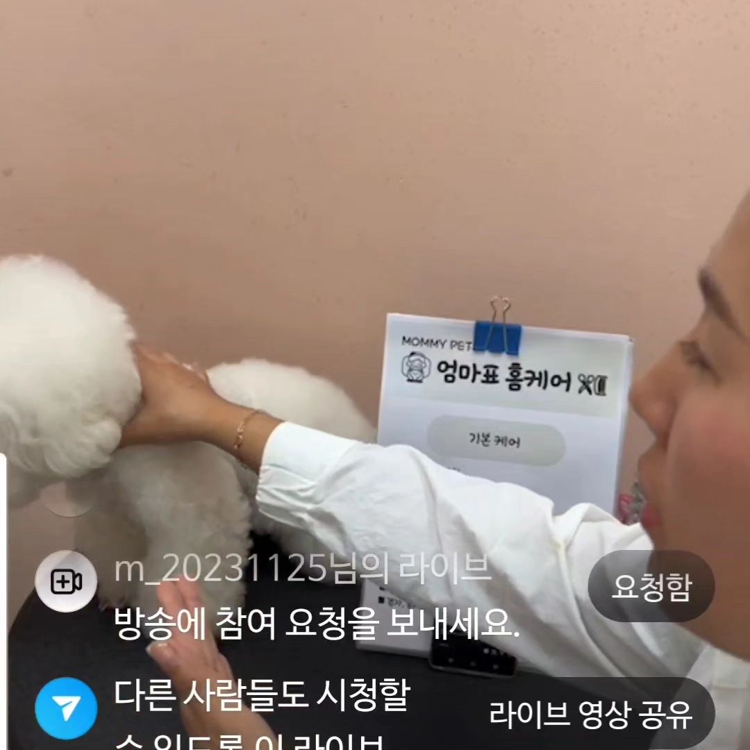 셀프미용이 아닌
홈케어수업 시간🥳
너무 유용하고 유익했다🙂
갑자기 변경된
시댁김장 일정에
본방정독은 못했어요 ㅠ.ㅠ
그래도 3일동안 영상저장해주셔서
집에와서 한숨자고
1.2.3부까지 시청했는데
역시 신청하길 잘했네요🥹
중간중간 메모해놓고
앞으론 좀더 친화적으로
꼭 필요한 곳만 
부분터치 할수있을거 같아요👍
누군가는
너튜브에
다 나와있는데 굳이?
라고 말하겠지만
저는 성격상
떠도는 카더라보다
전문가의 확실한
수업을 더 선호하는 편이고
그래서 제가 습득하는것도
늦은편이지만
제 스타일인걸요😘
운전도 못해!
애기는 나하고 못떨어져!
그러다보니
참여할수 있는 수업도
한정적이라
저에게
꼭 필요한
라이브 수업이 많아지면 좋겠습니다!

mommy.pet
원장님의 후원수업이라
더 마음이 따뜻해지는
겨울이 될거같아요🥹

#반려견홈케어수업
#안전한홈케어수업
#유기견후원