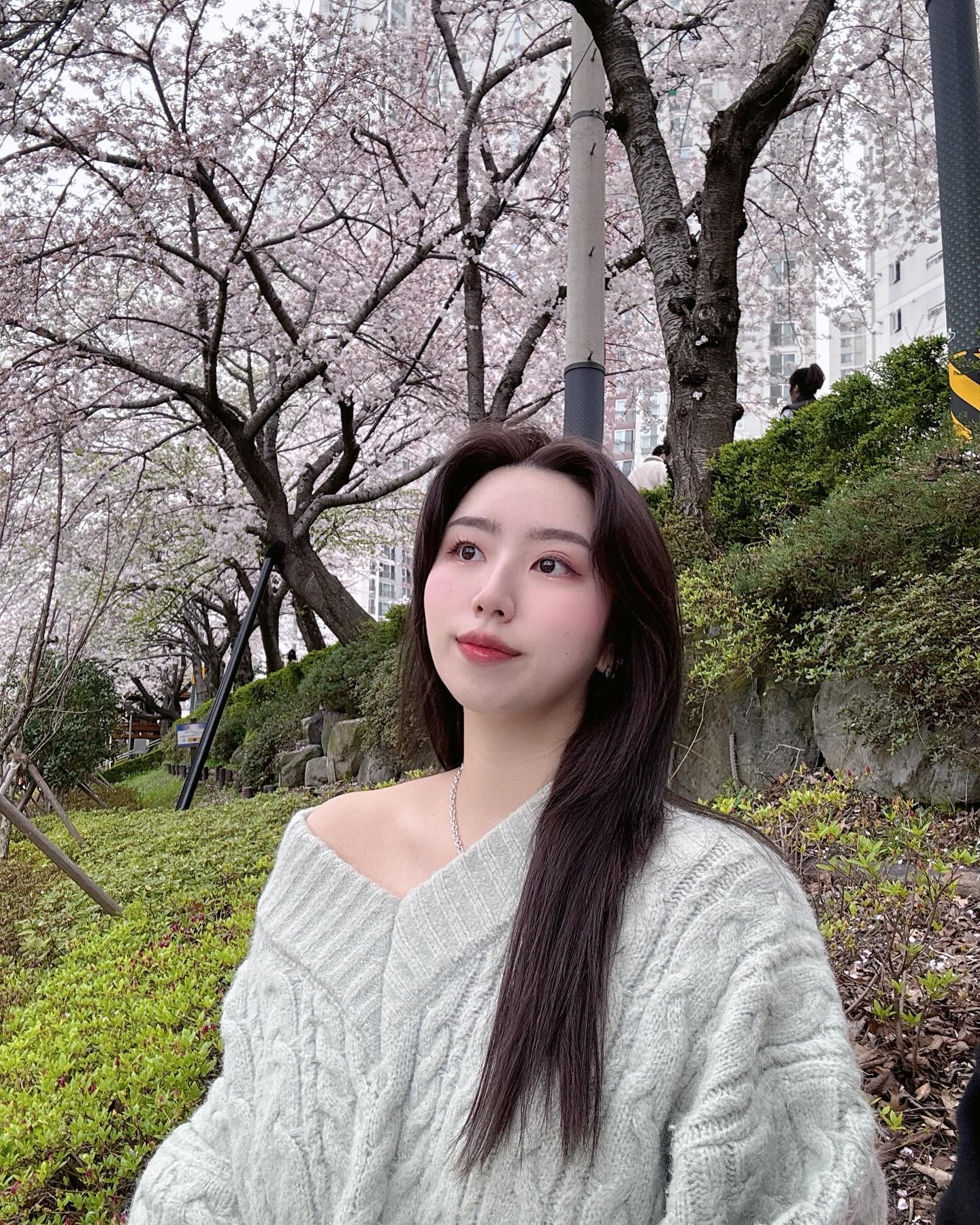 🌸 ´͈ ᵕ `͈ ♡°◌̊˚✨