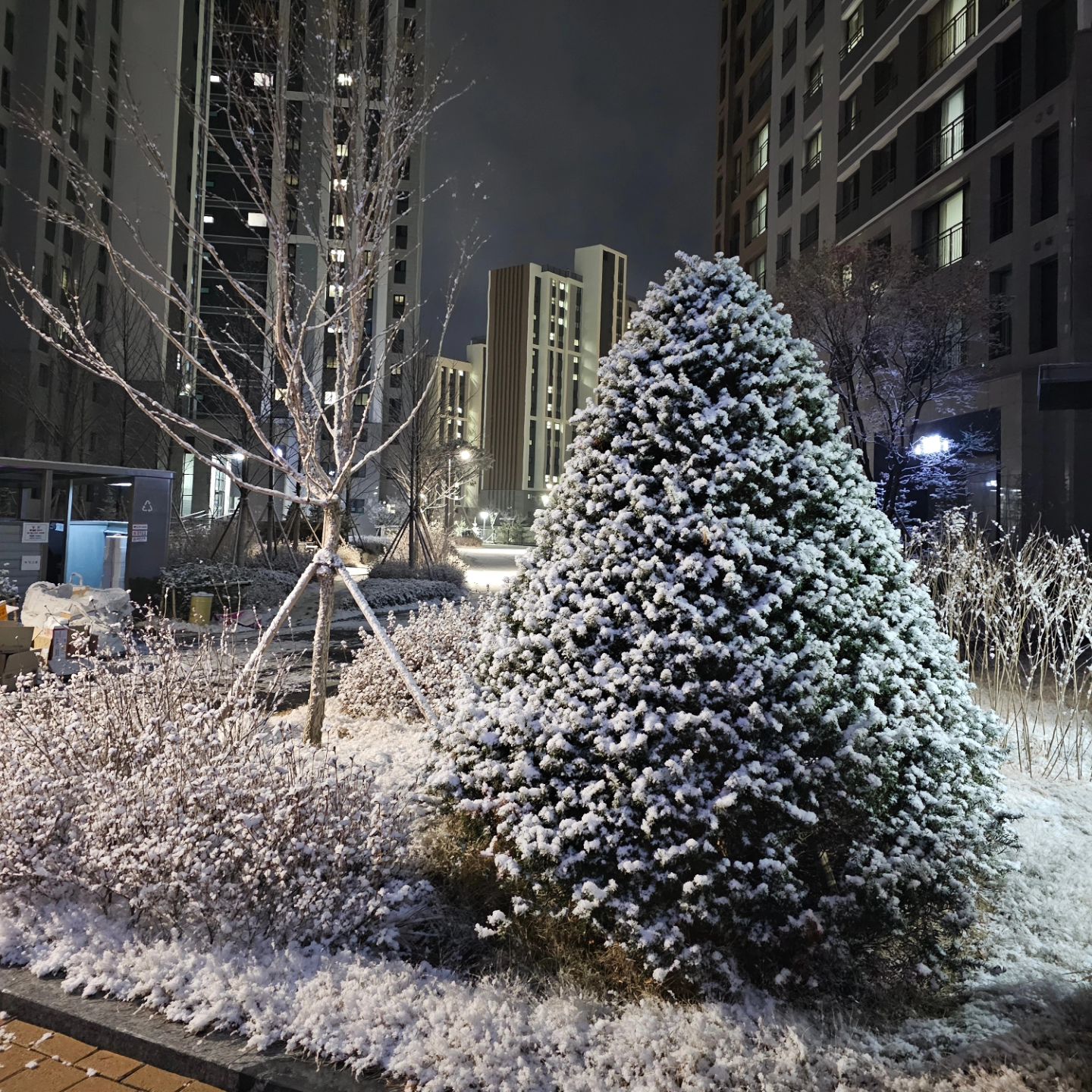 2024.01.06
눈이 엄청 내리던날⛄️
30분도 안된 사이에 눈이 쌓여 눈사람도 만들고 눈썰매도 타고
즐거운 시간😃