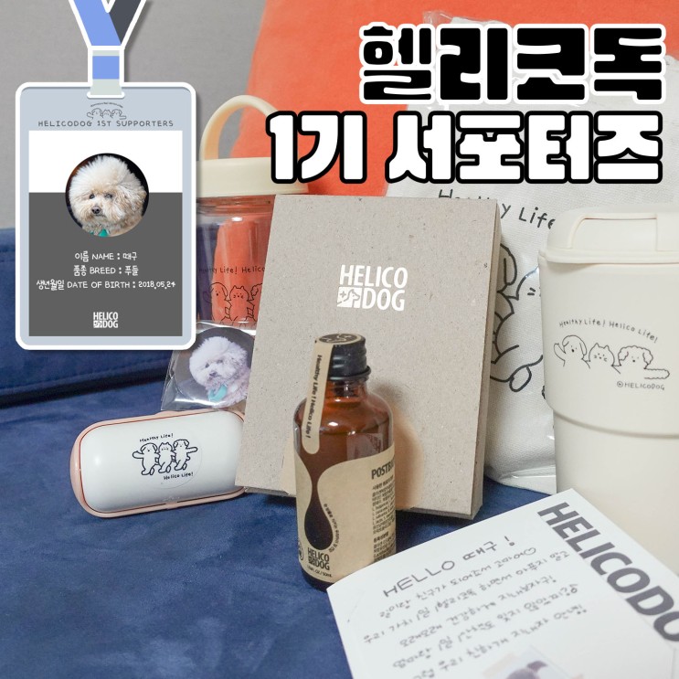[헬리코독 서포터즈] 프리미엄 강아지유산균! 헬리코독 유산균 영양제 제품소개 및 굿즈 언박싱