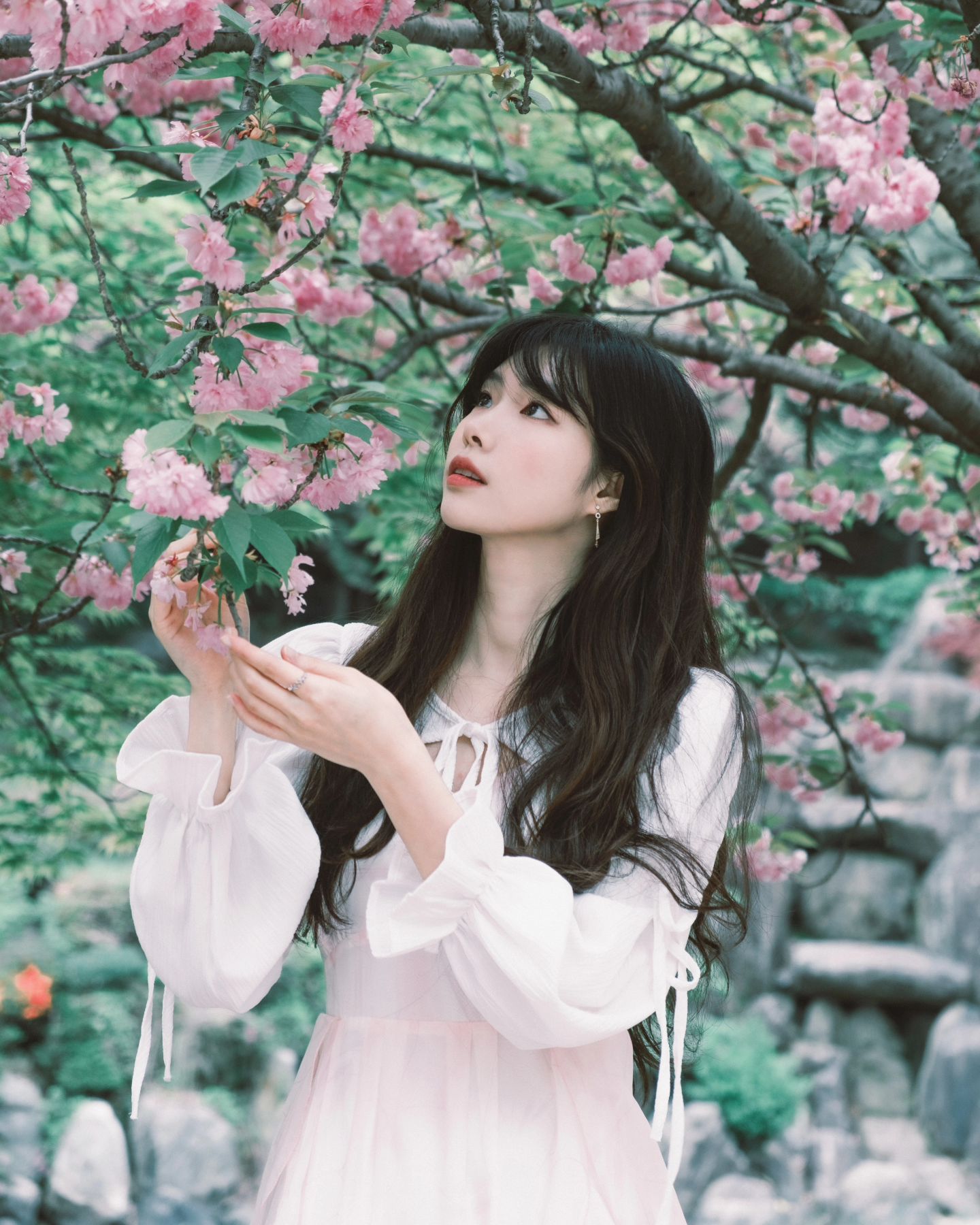겹벚꽃사진 마지막🌸🩷🌸🩷

2024년 겹벚꽃 찐막!!
앵글 너머 꿀 뚝뚝 열심히 찍어주신 작가님 감사합니다🌸👍

내년 벚꽃스냅도 기대해주세요💗 

P : jusphoto89.b
M : euncharmimgg

#스냅모델
#일반인모델
#벚꽃스냅